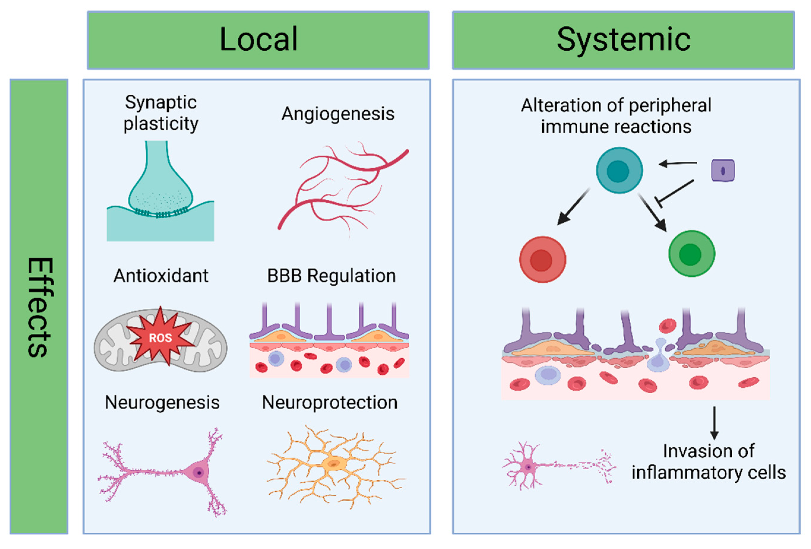 Pharmaceutics 15 02173 g005