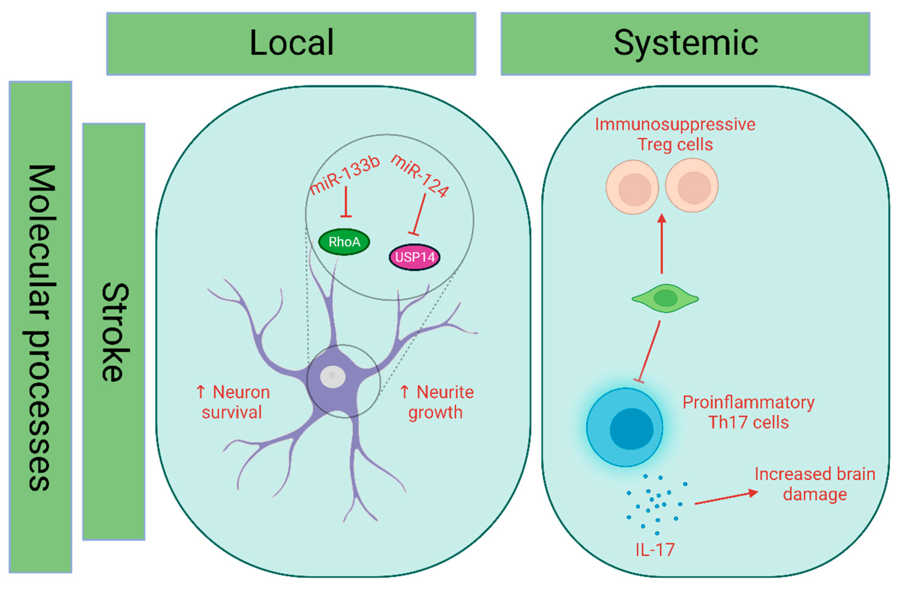 Pharmaceutics 15 02173 g006
