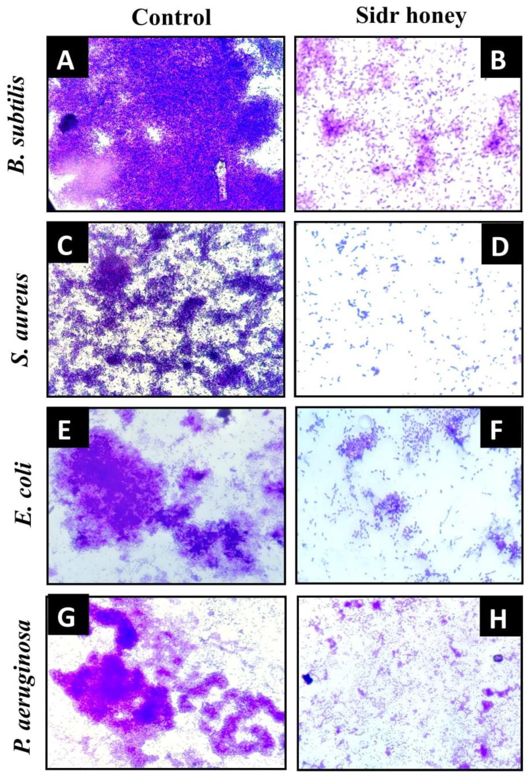 Pharmaceutics 15 02177 g003