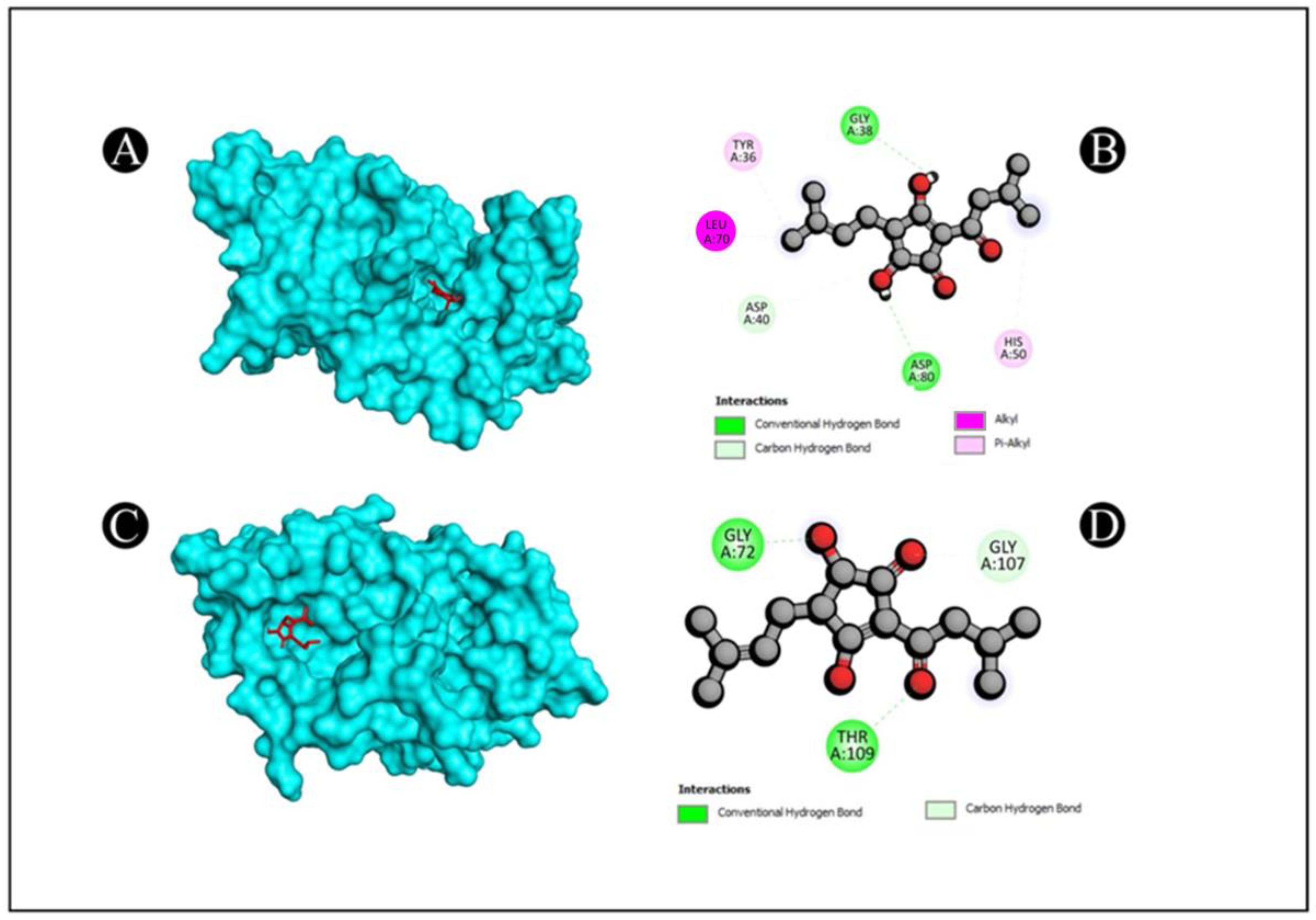 Pharmaceutics 15 02177 g006