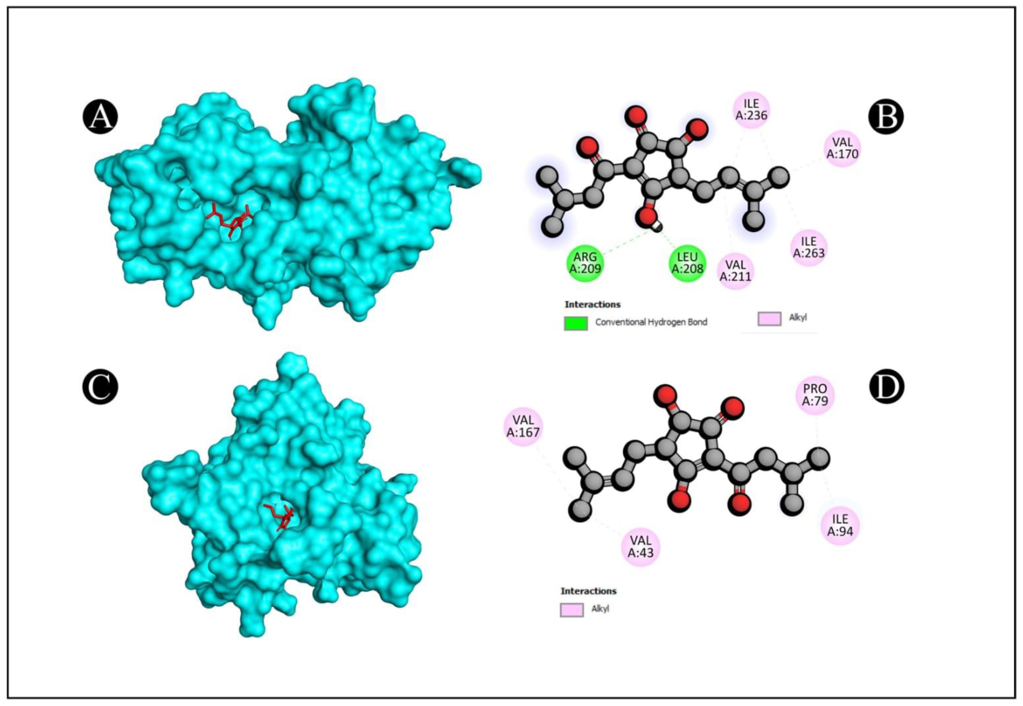Pharmaceutics 15 02177 g007