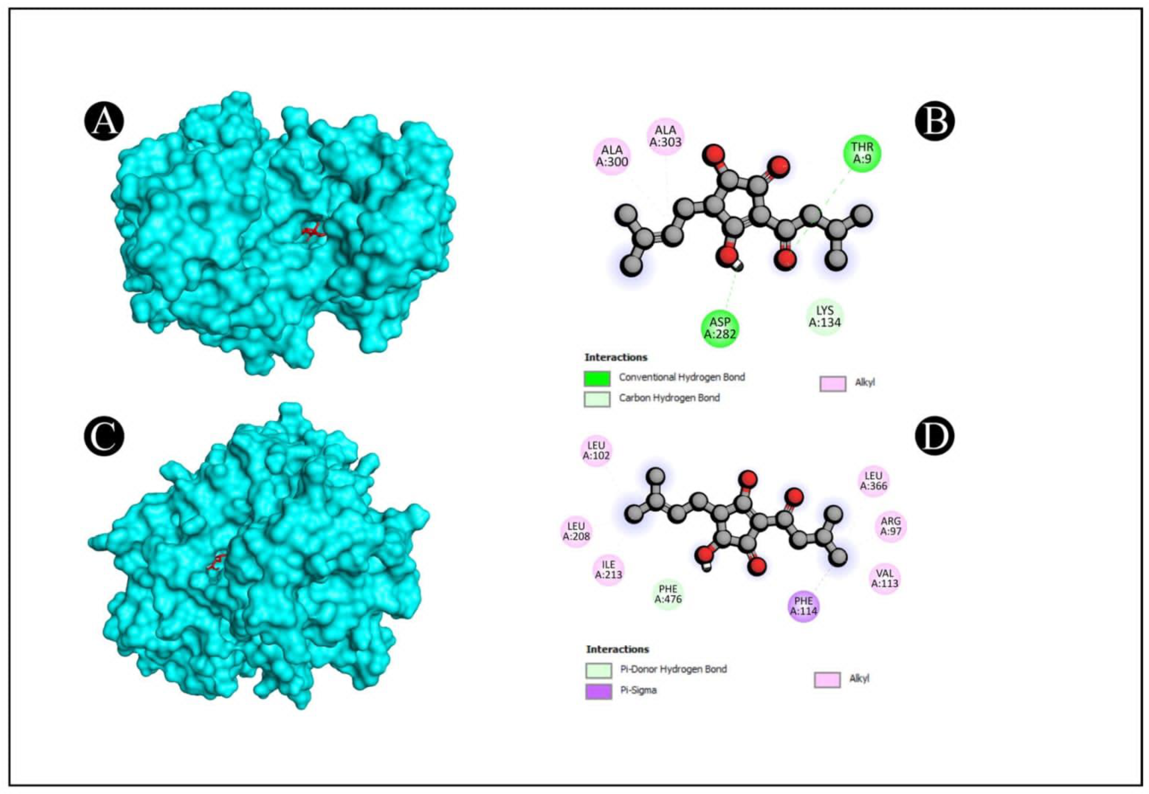 Pharmaceutics 15 02177 g008
