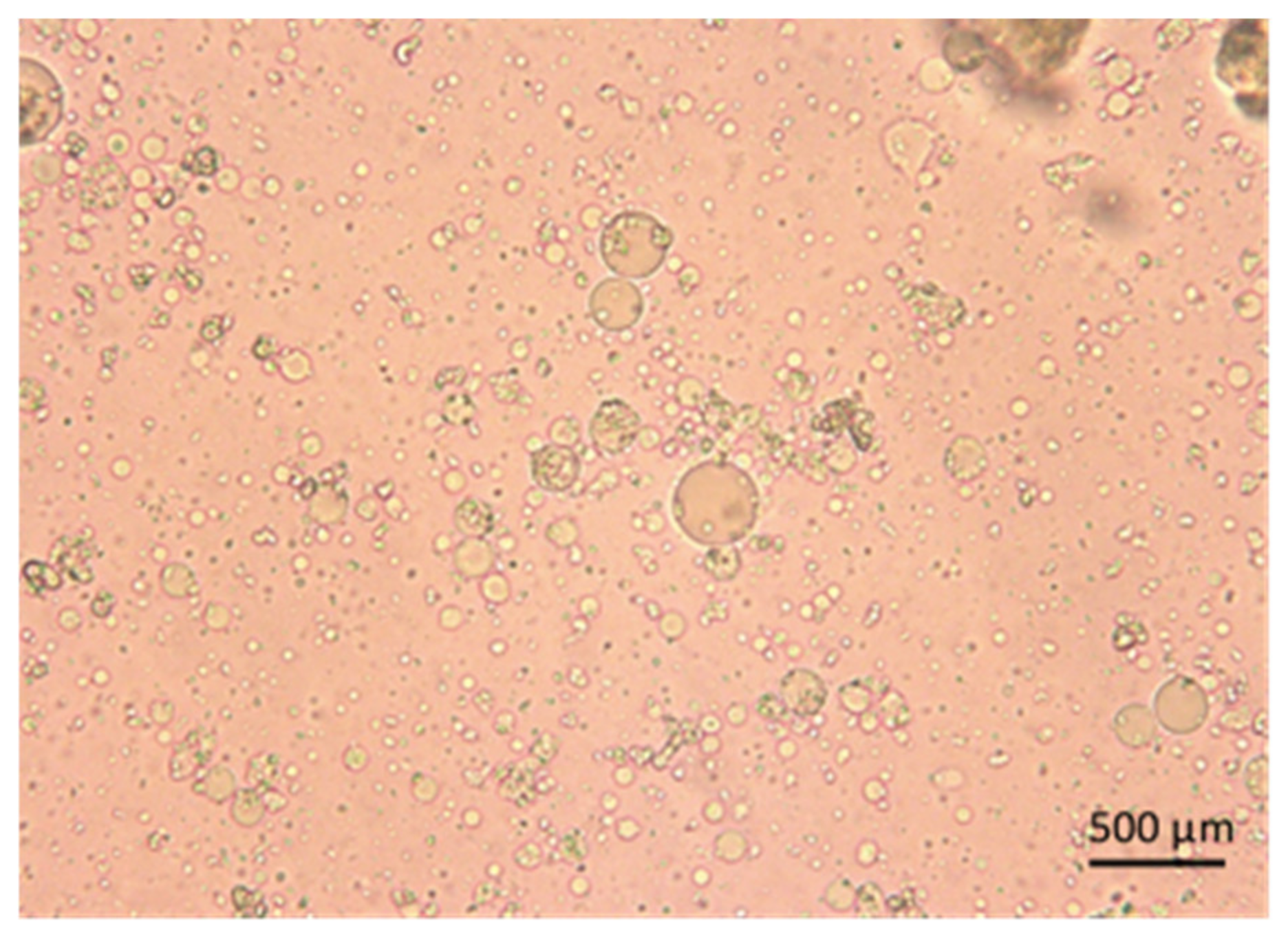 Pharmaceutics 15 02178 g001 Pharmaceutics 15 02178 g001