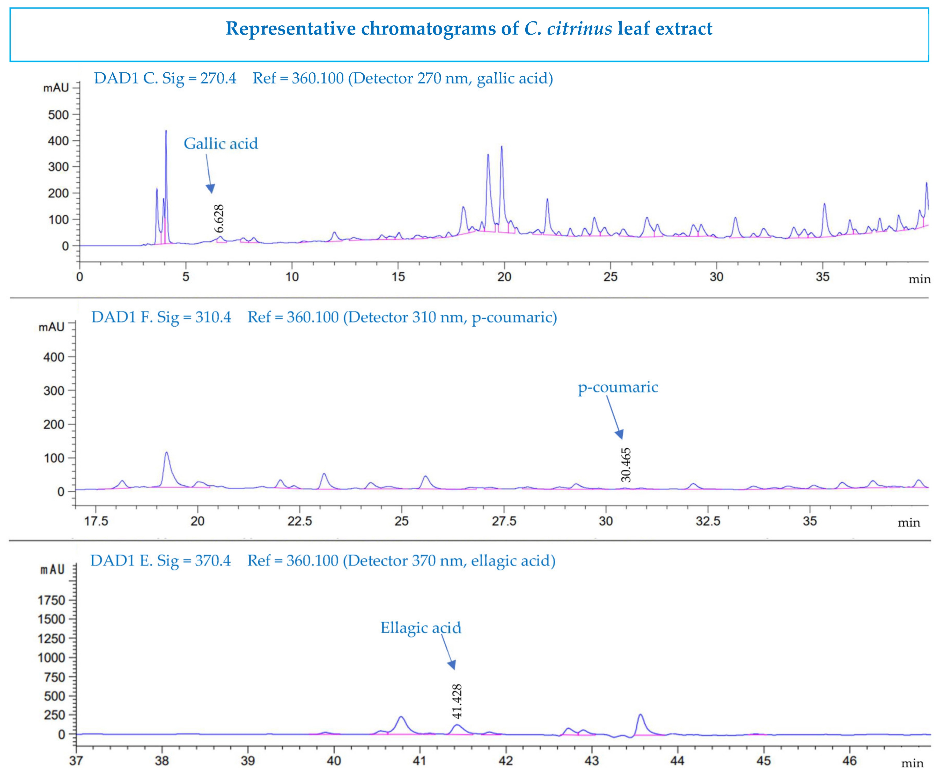 Pharmaceutics 15 02178 g005 Pharmaceutics 15 02178 g005