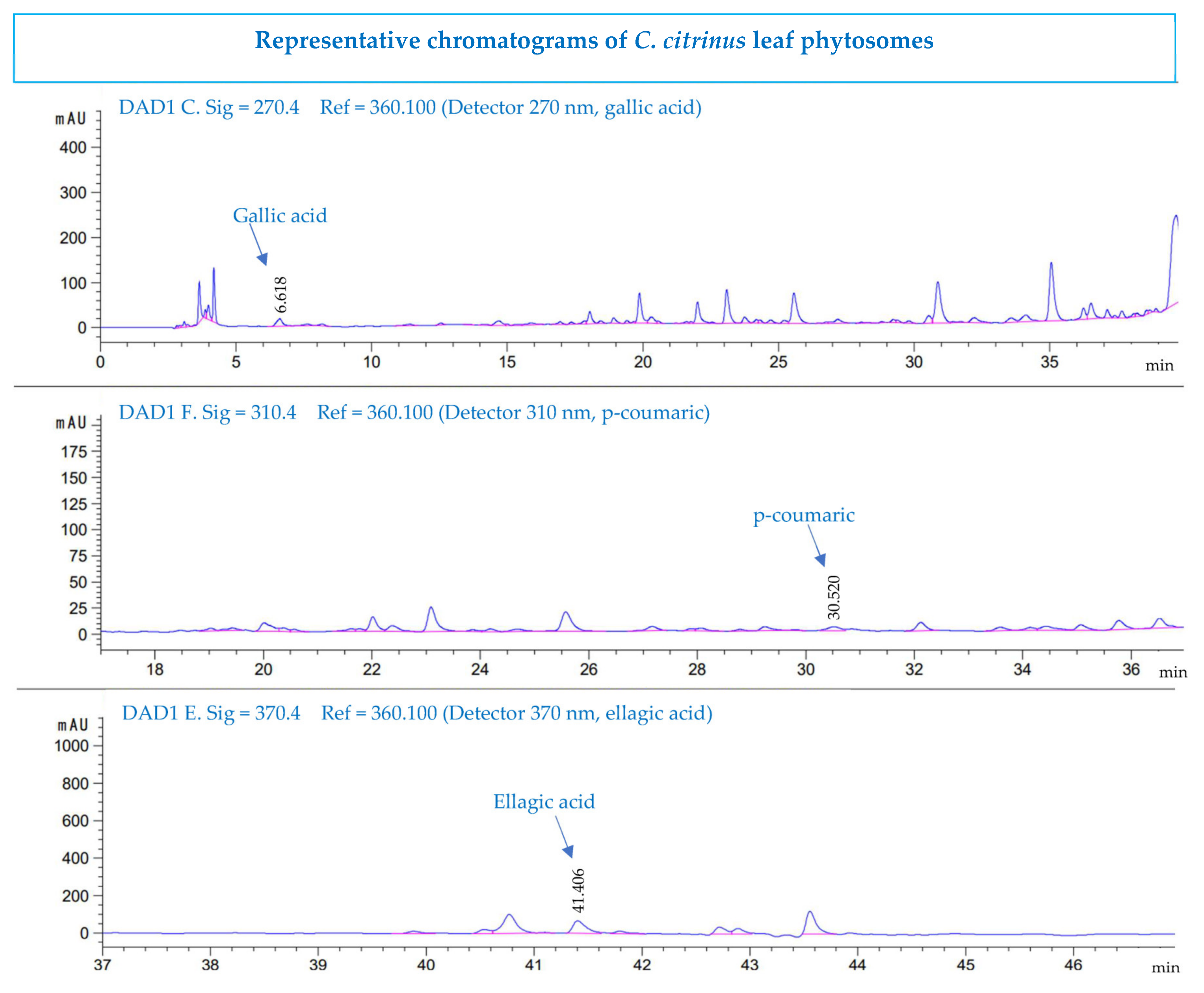 Pharmaceutics 15 02178 g006 Pharmaceutics 15 02178 g006