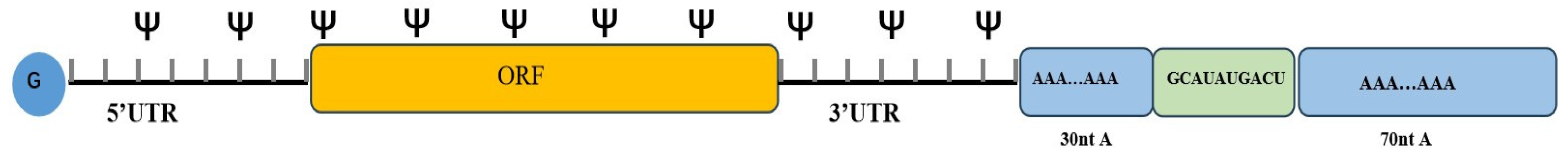 Pharmaceutics 15 02182 g004 Pharmaceutics 15 02182 g004