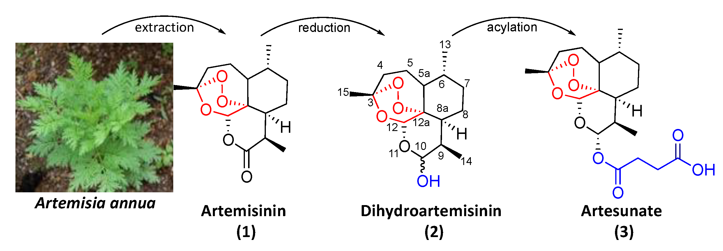 Pharmaceutics 15 02185 g002