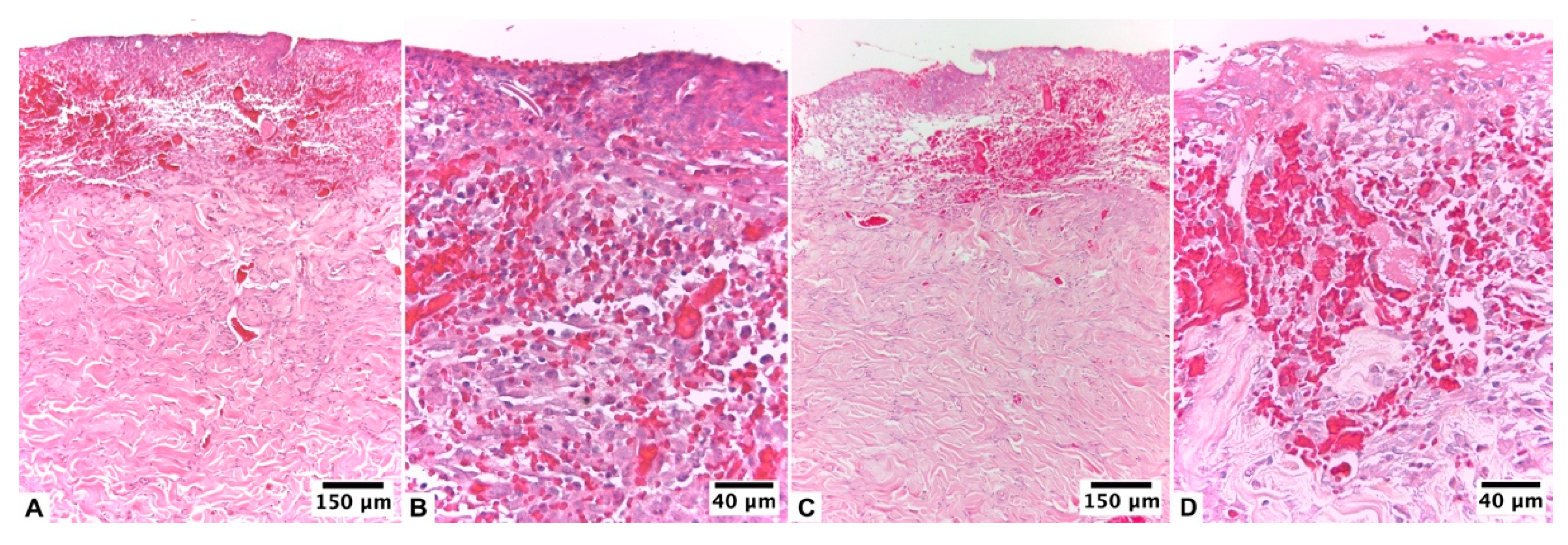 Pharmaceutics 15 02187 g001 Pharmaceutics 15 02187 g001