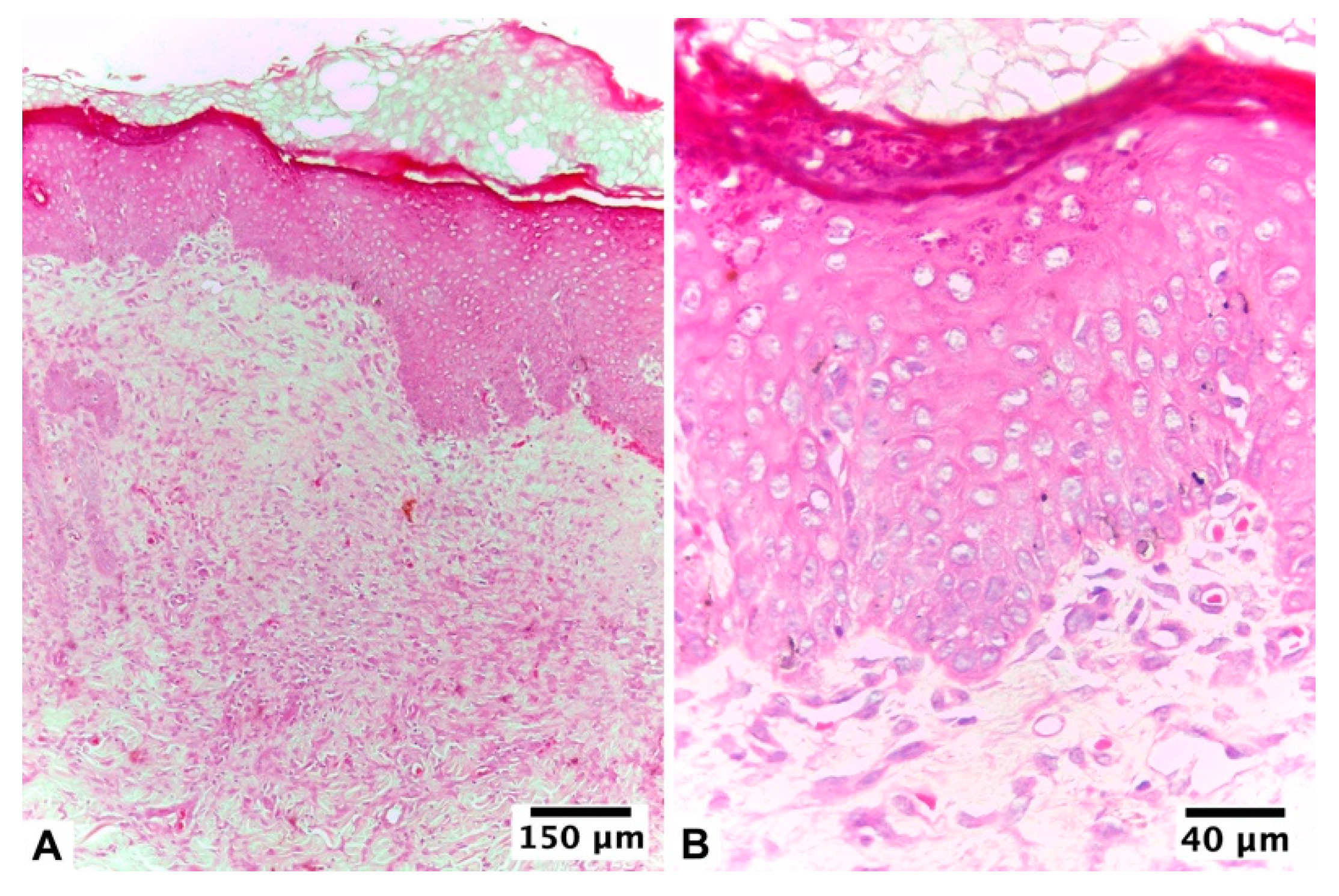 Pharmaceutics 15 02187 g005 Pharmaceutics 15 02187 g005
