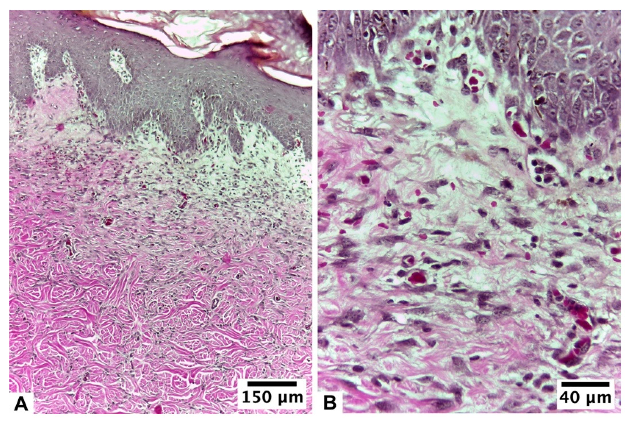 Pharmaceutics 15 02187 g006 Pharmaceutics 15 02187 g006