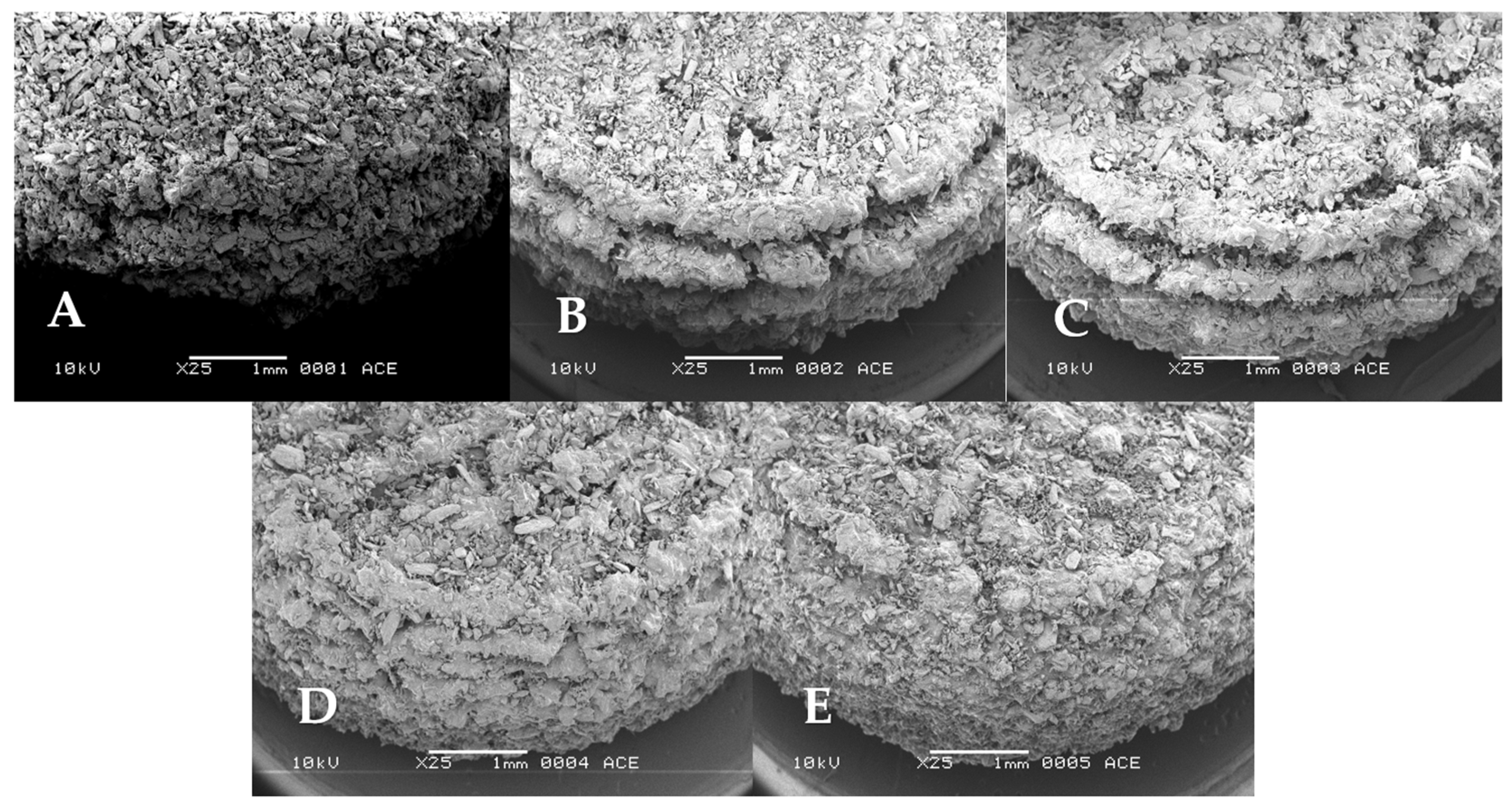 Pharmaceutics 15 02193 g002