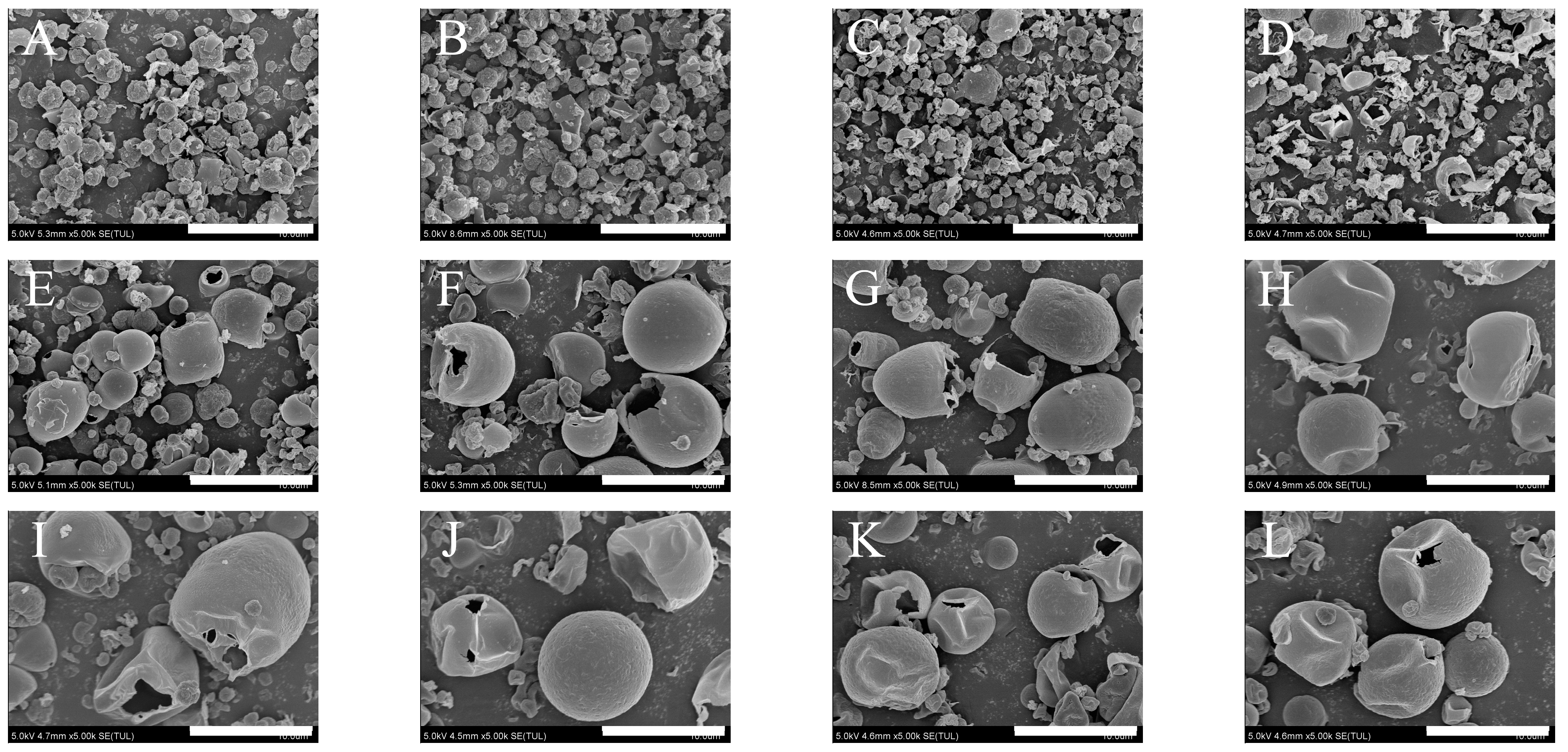Pharmaceutics 15 02204 g002