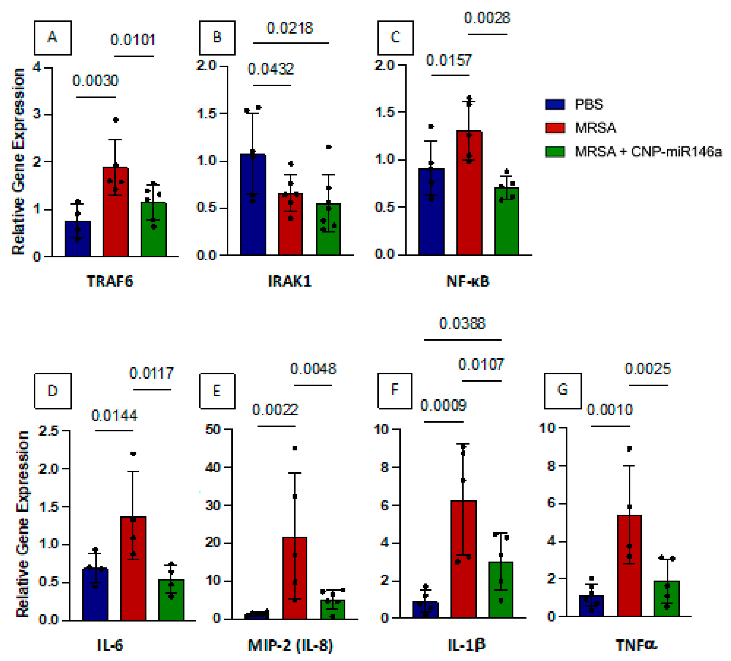 Pharmaceutics 15 02210 g002