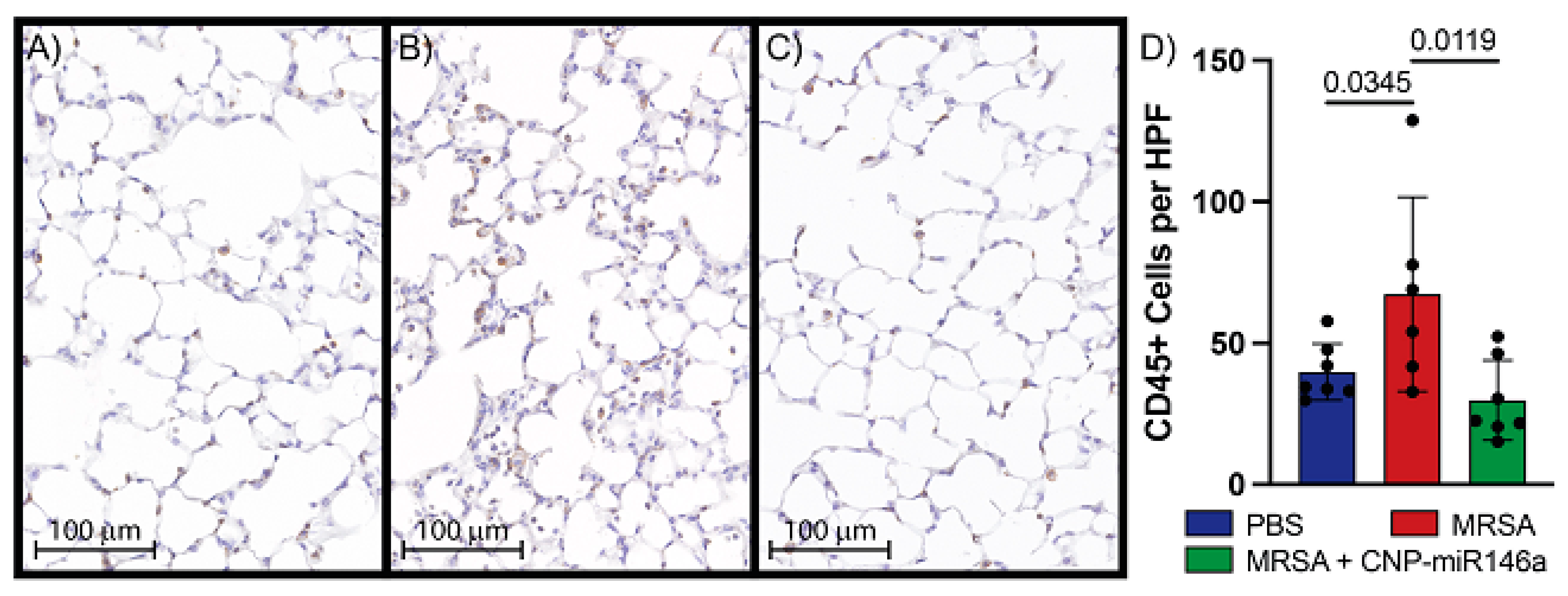 Pharmaceutics 15 02210 g004