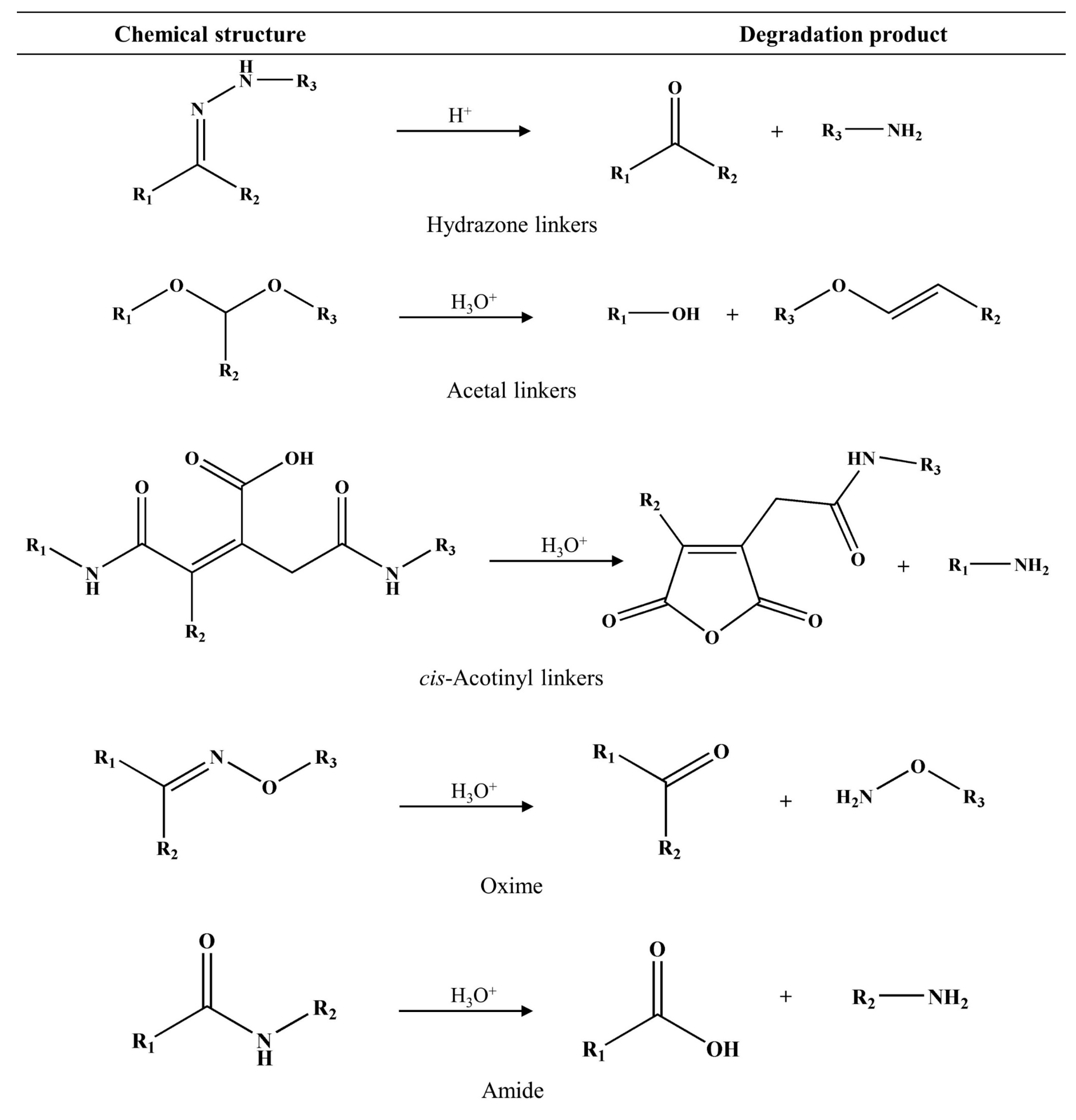 Pharmaceutics 15 02216 g009