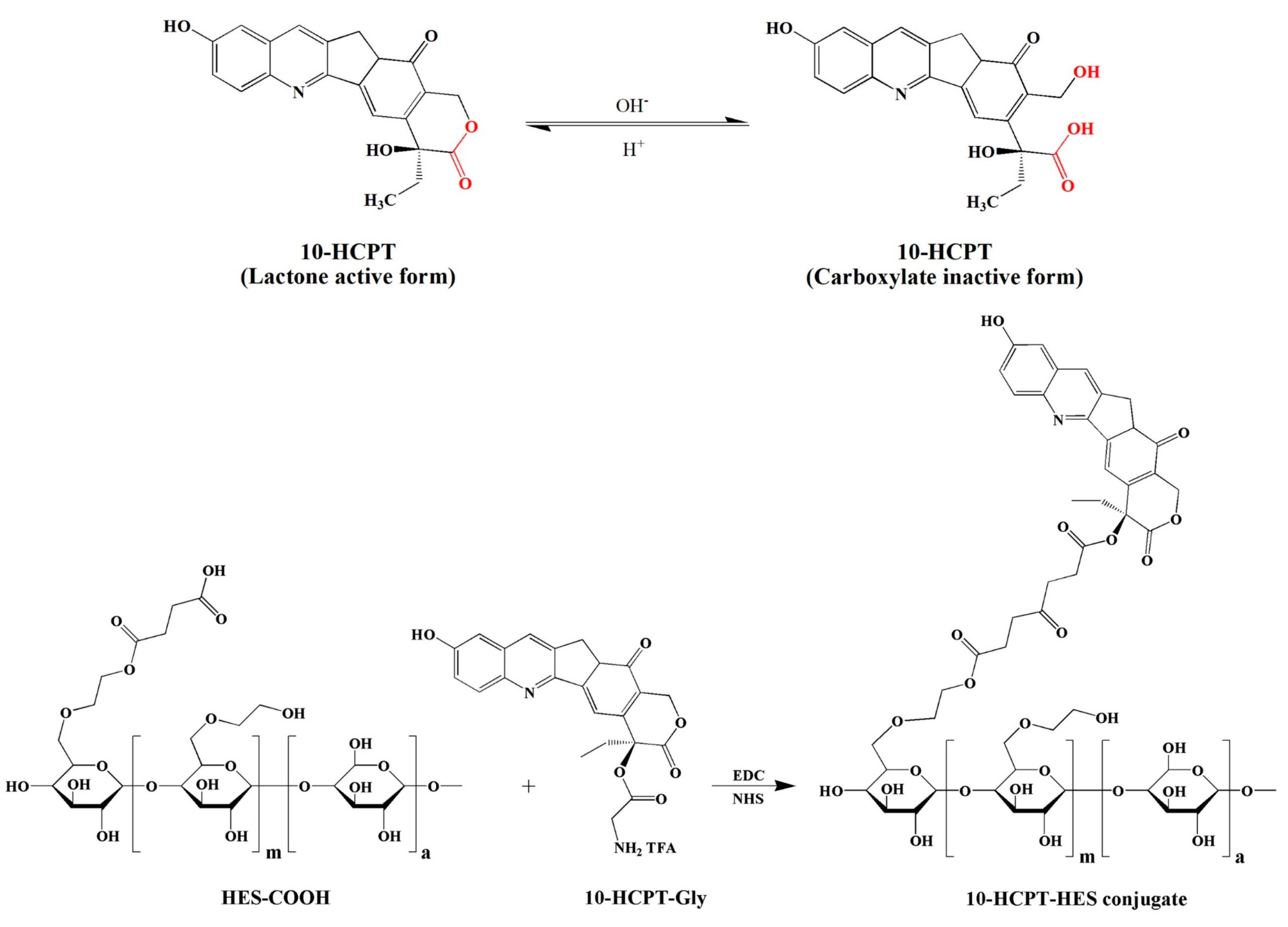 Pharmaceutics 15 02216 g011