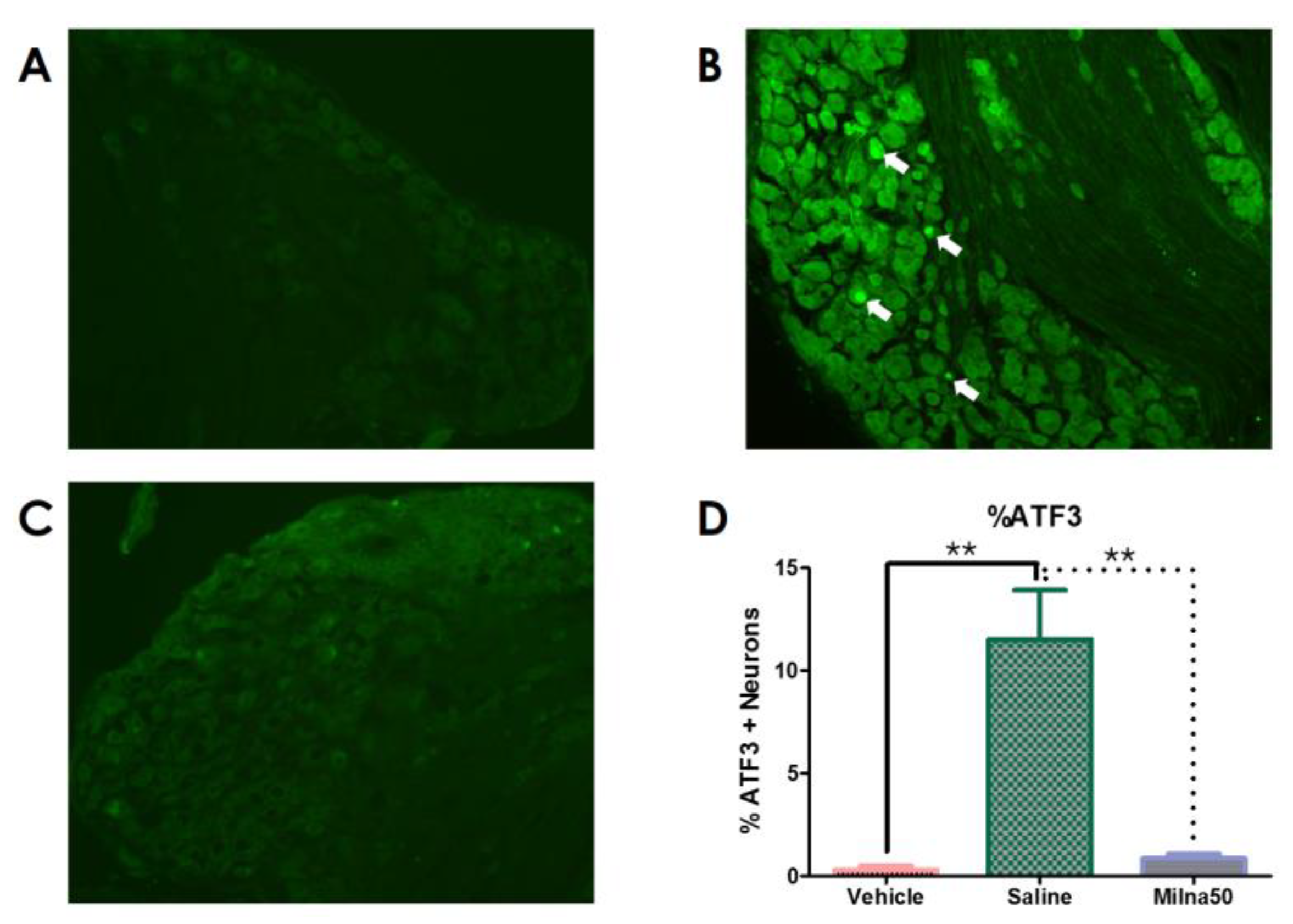 Pharmaceutics 15 02218 g003 Pharmaceutics 15 02218 g003