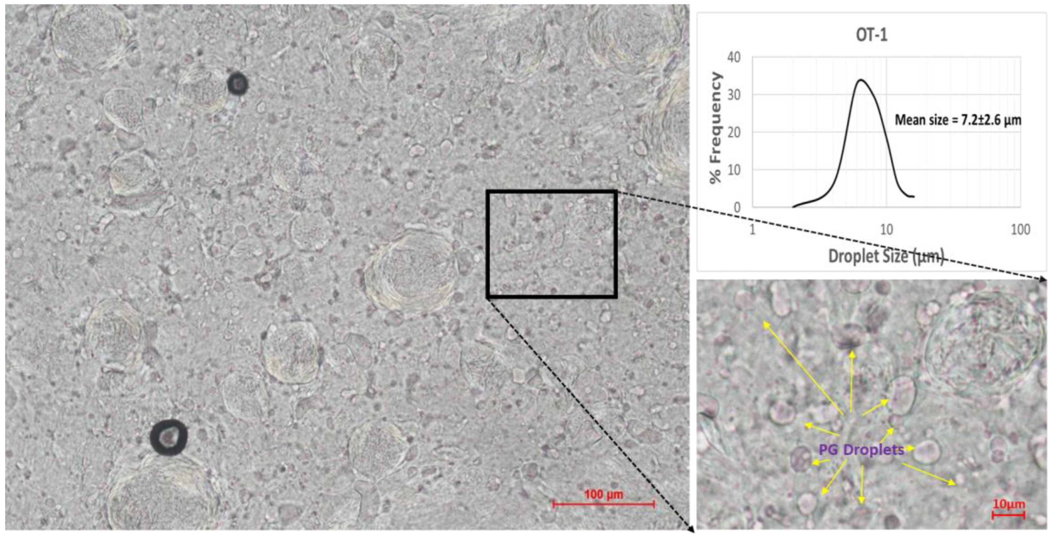 Pharmaceutics 15 02219 g002