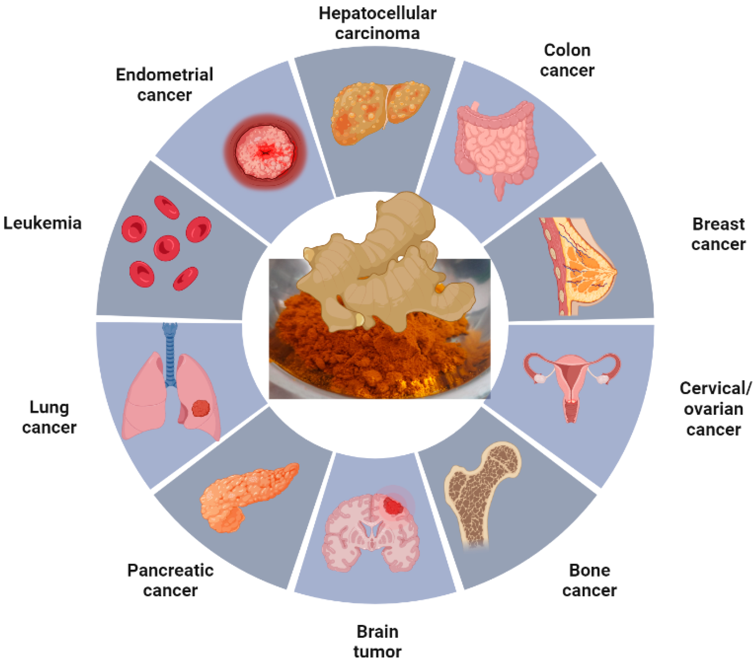 Pharmaceutics 15 02223 g003