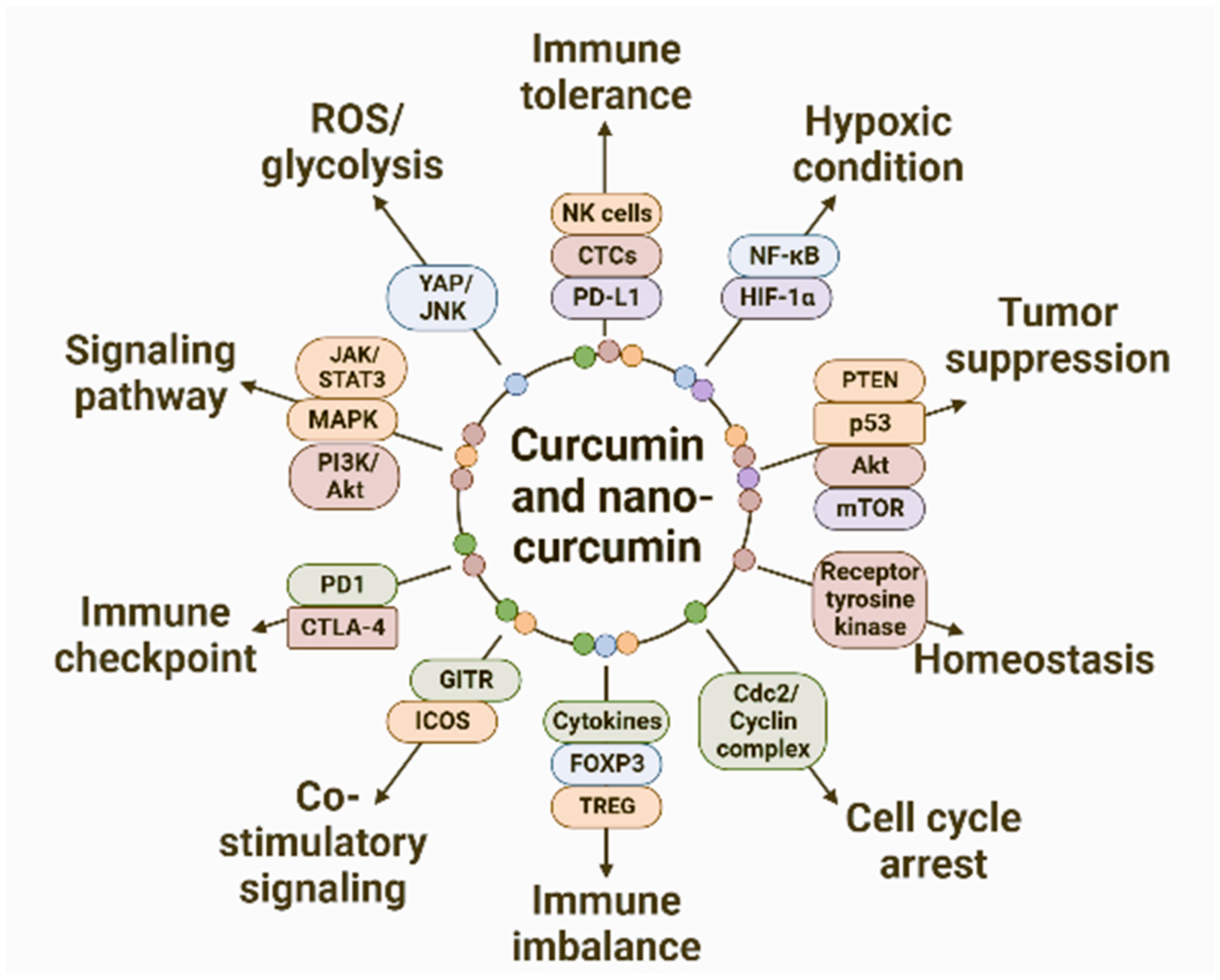 Pharmaceutics 15 02223 g004