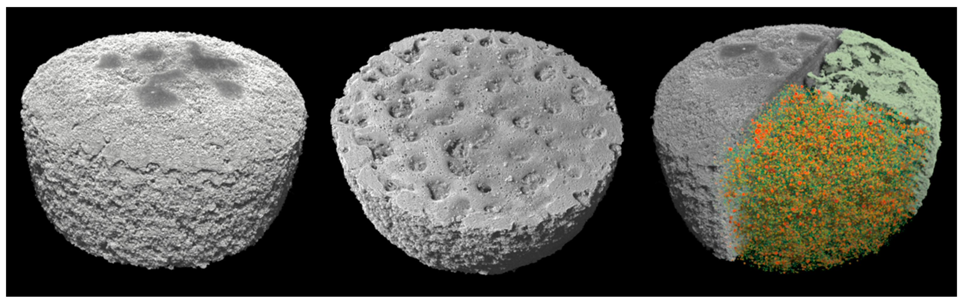 Pharmaceutics 15 02230 g006