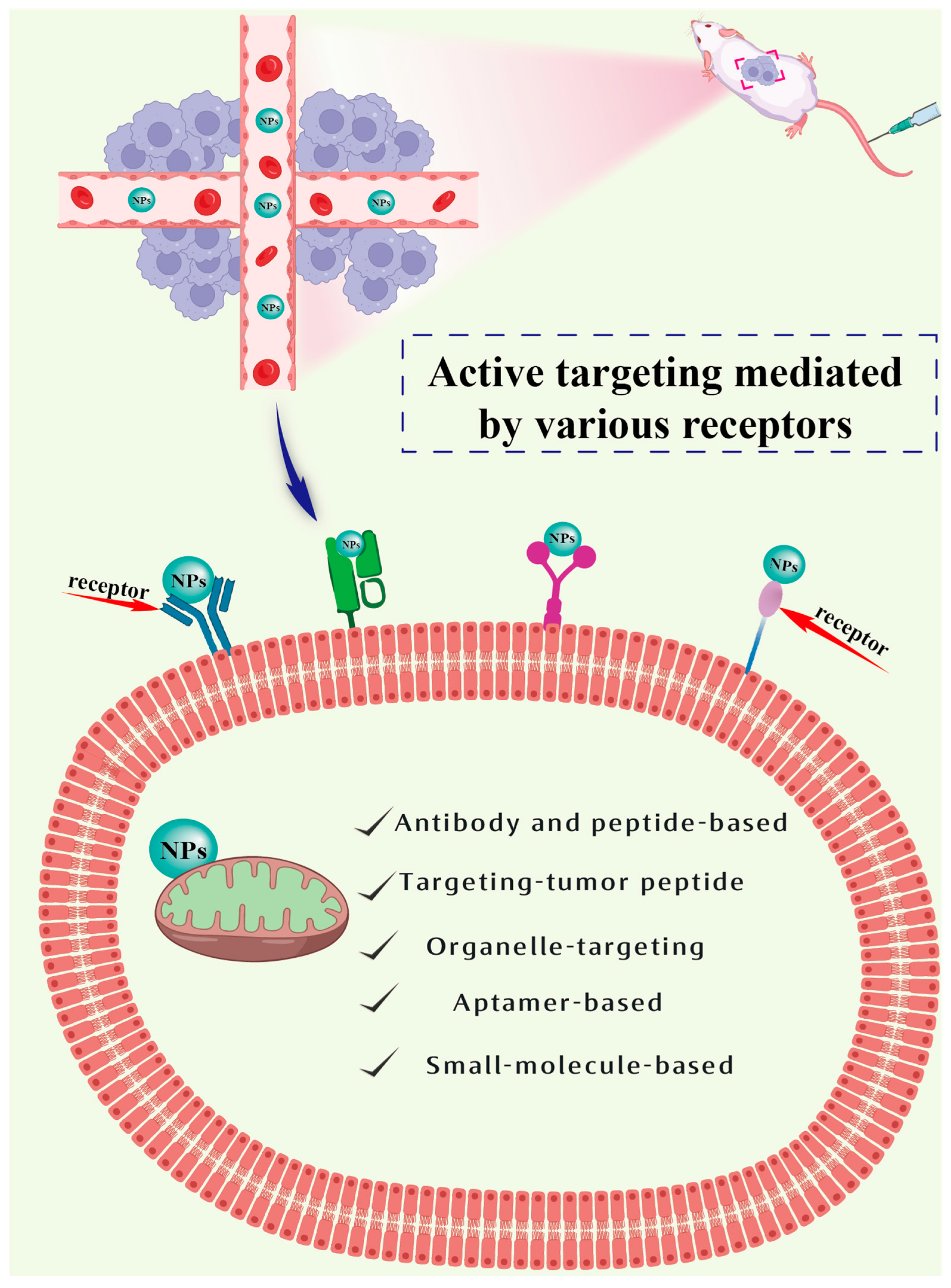 Pharmaceutics 15 02233 g005
