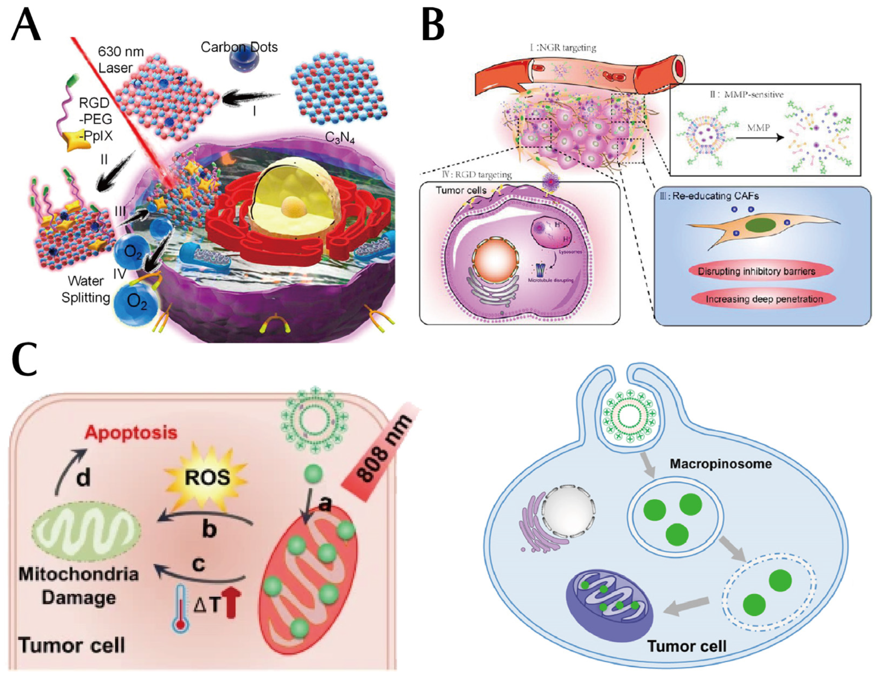Pharmaceutics 15 02233 g006