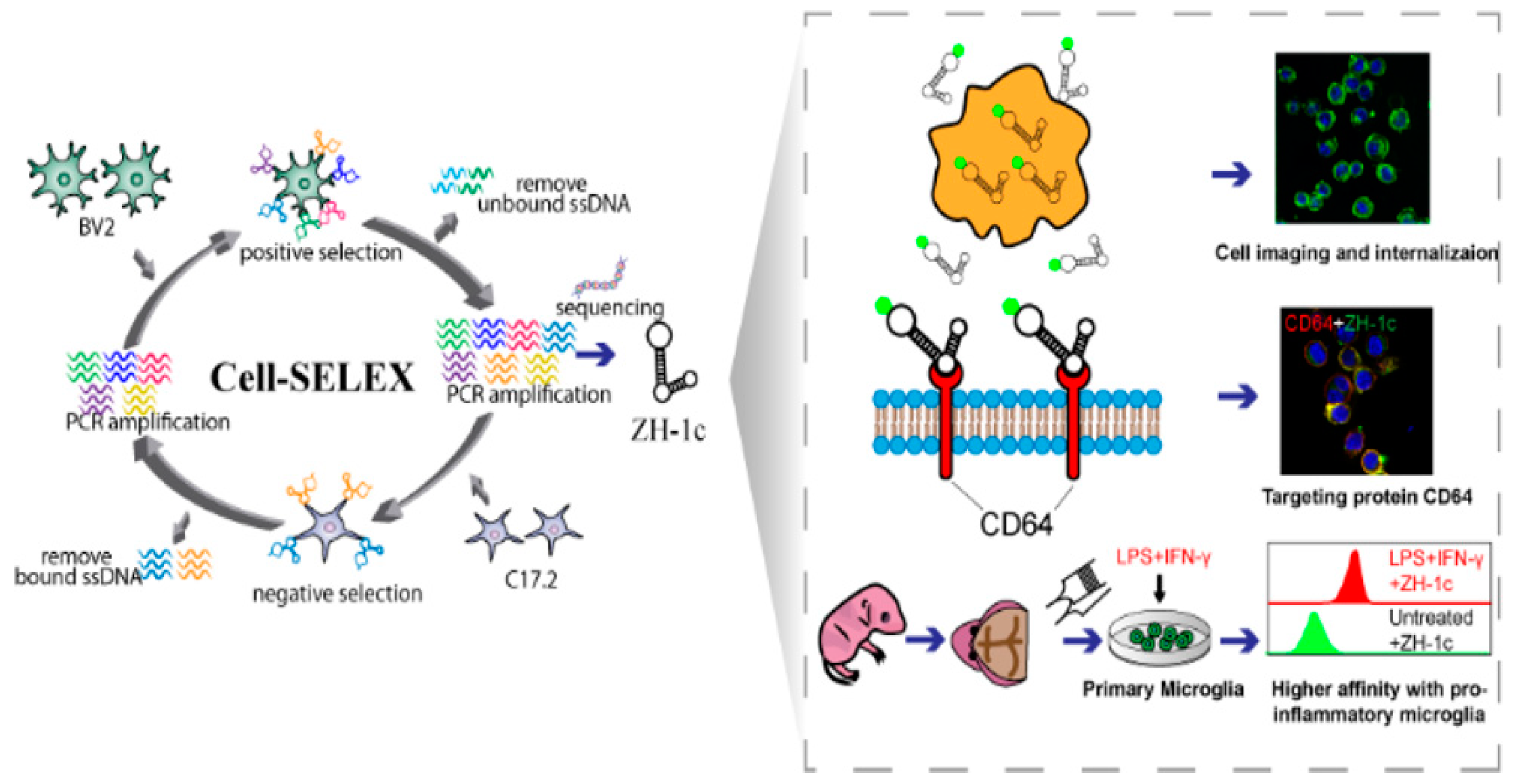 Pharmaceutics 15 02233 g007