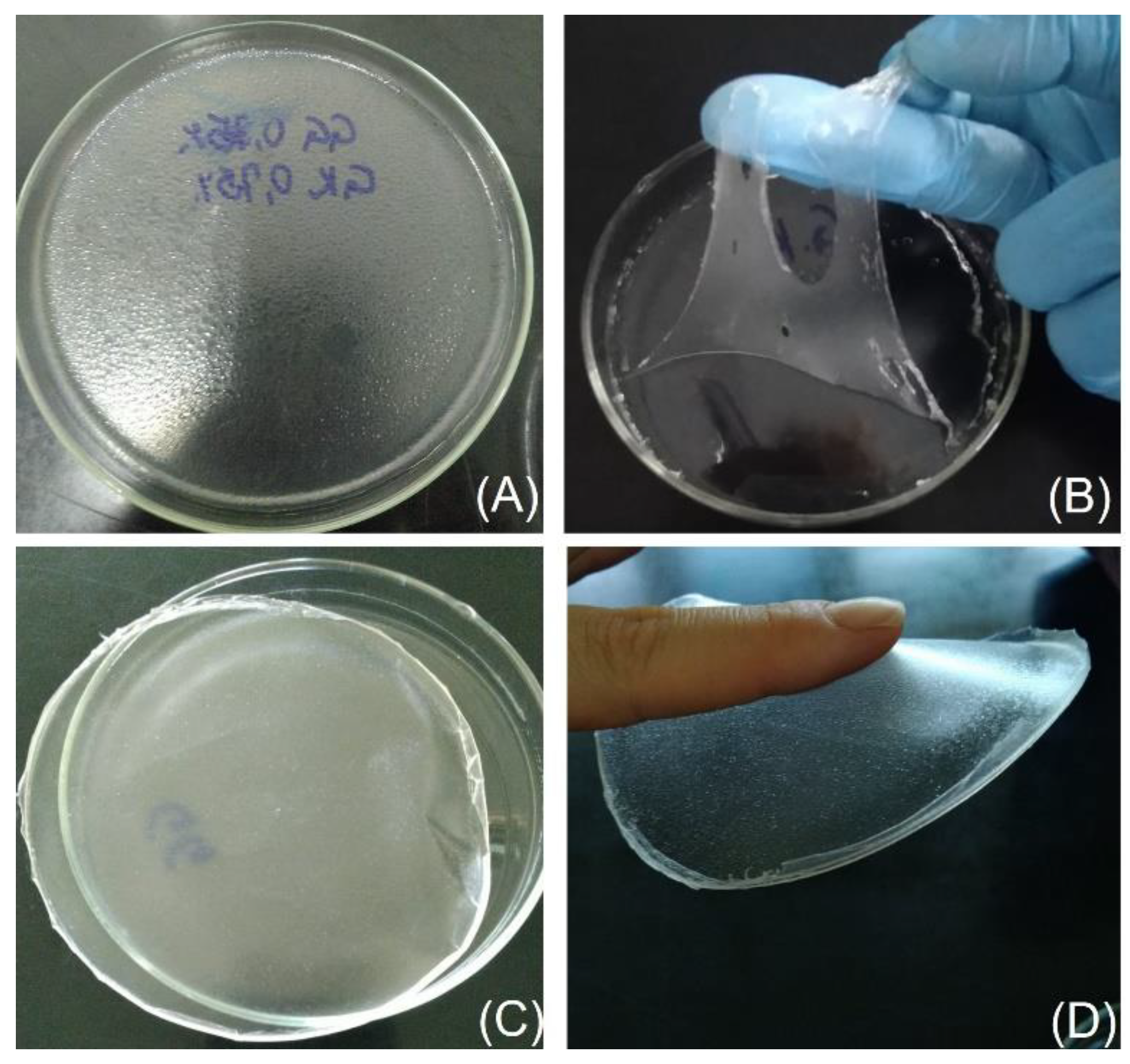 Pharmaceutics 15 02234 g001
