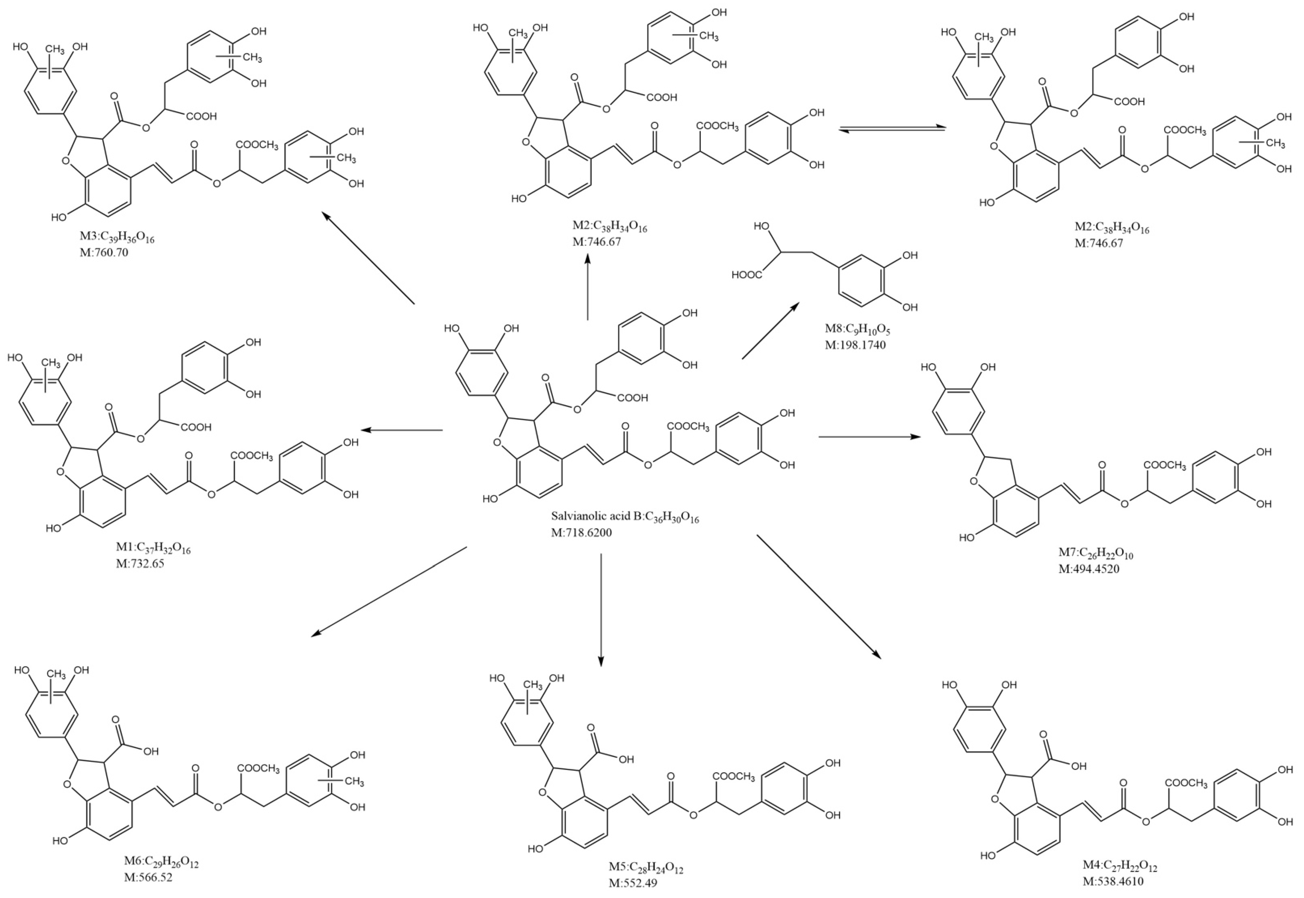 Pharmaceutics 15 02235 g002
