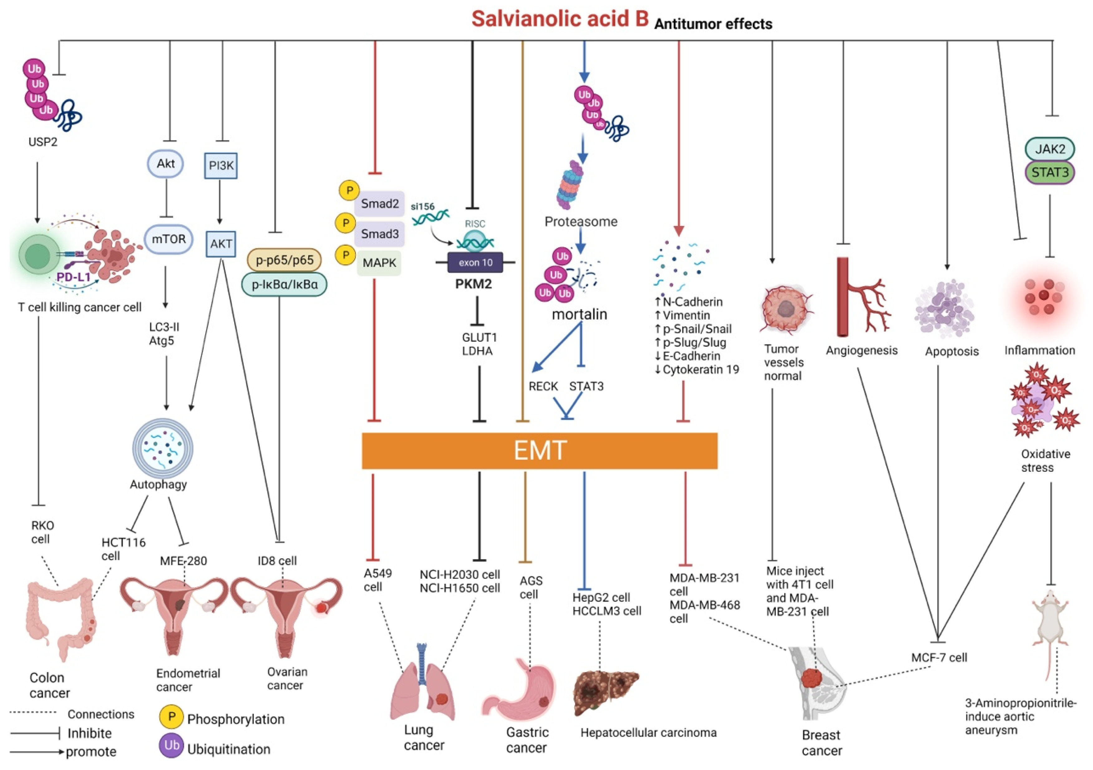 Pharmaceutics 15 02235 g003