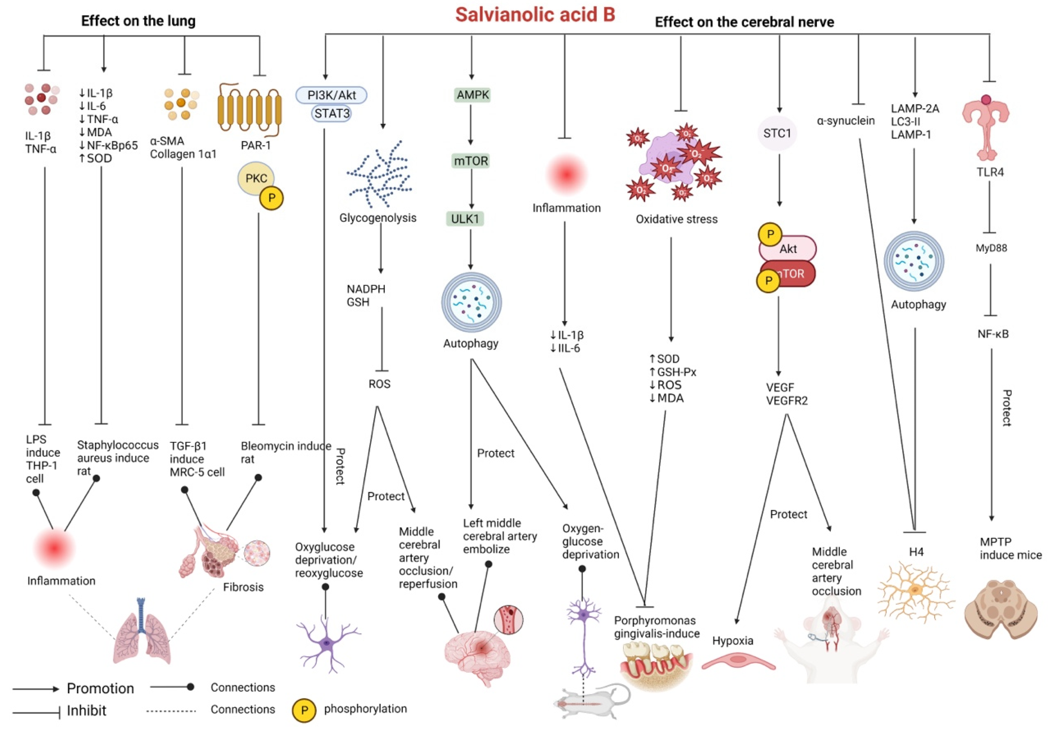 Pharmaceutics 15 02235 g004