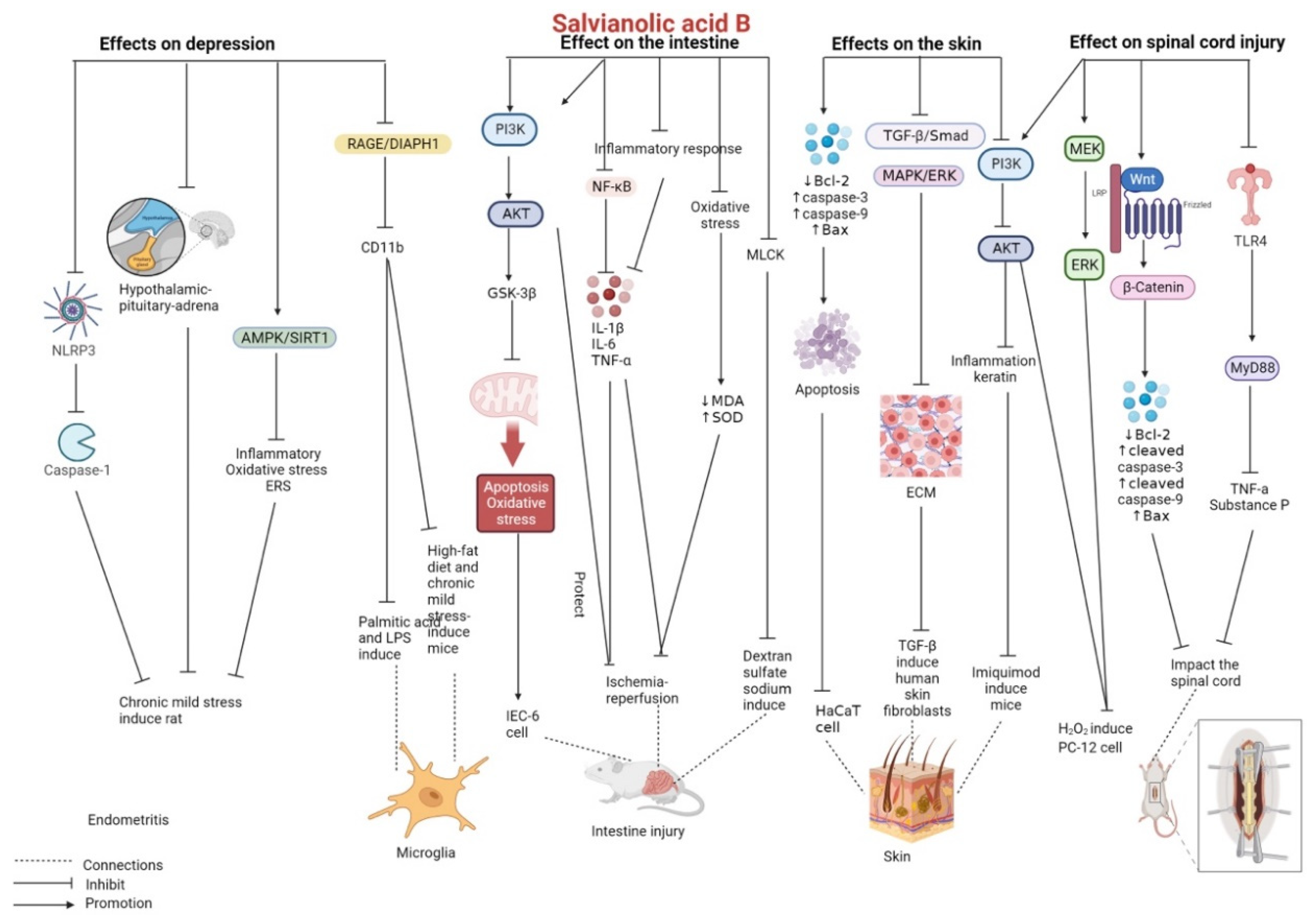 Pharmaceutics 15 02235 g005