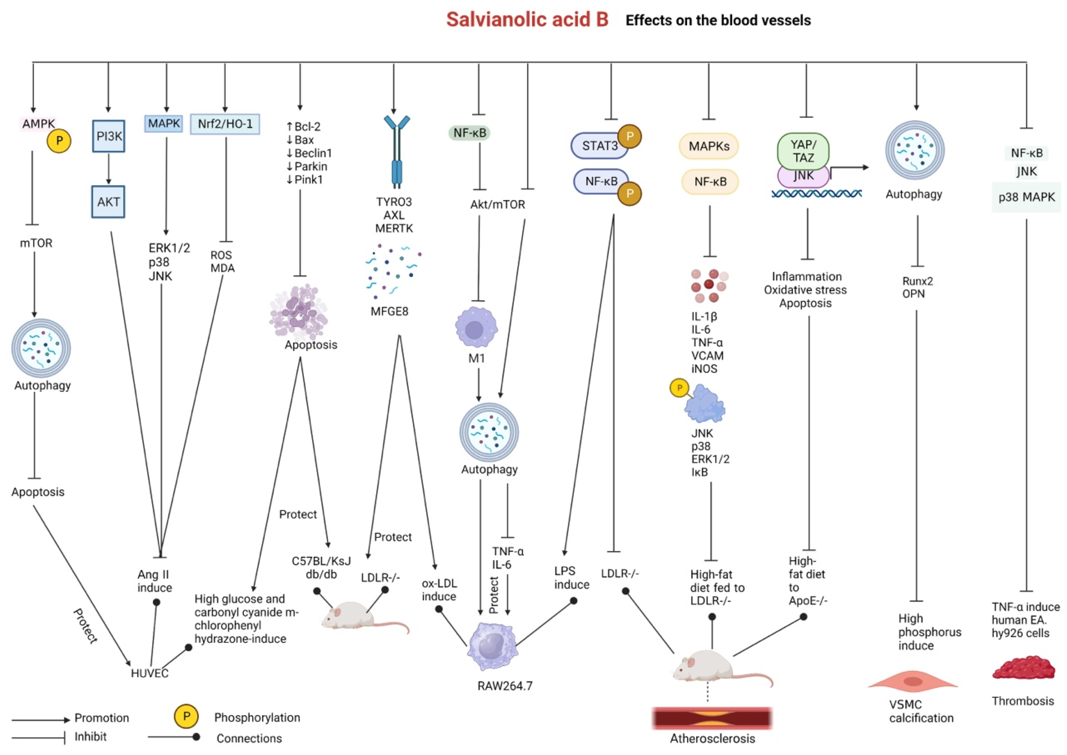 Pharmaceutics 15 02235 g007