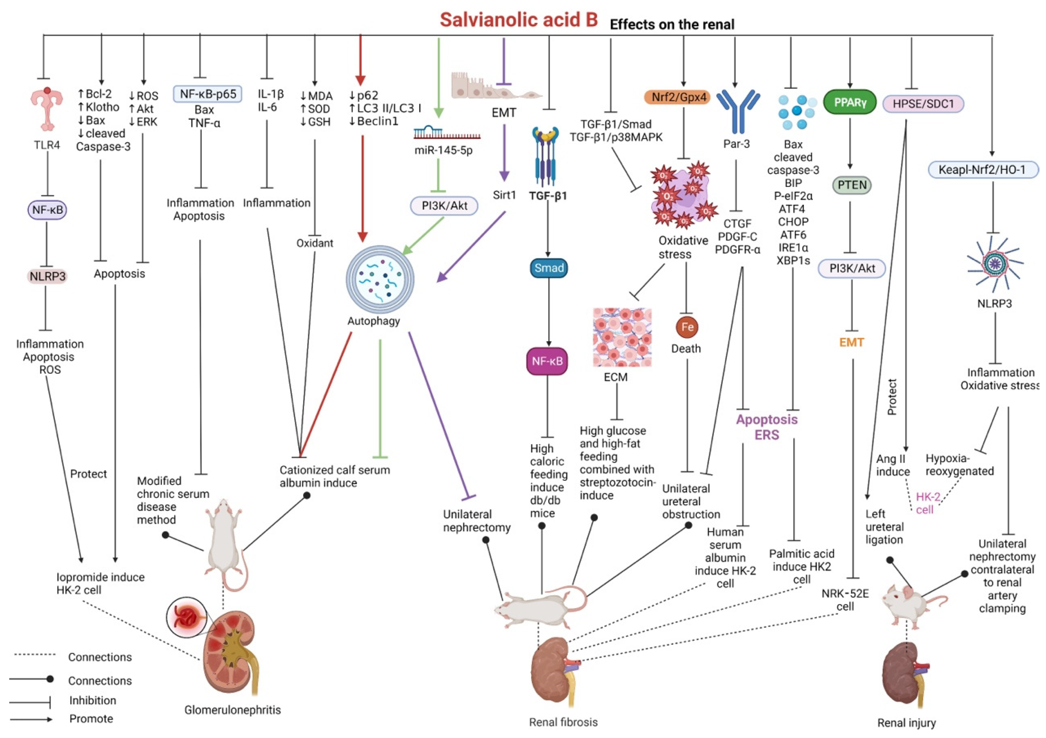 Pharmaceutics 15 02235 g008