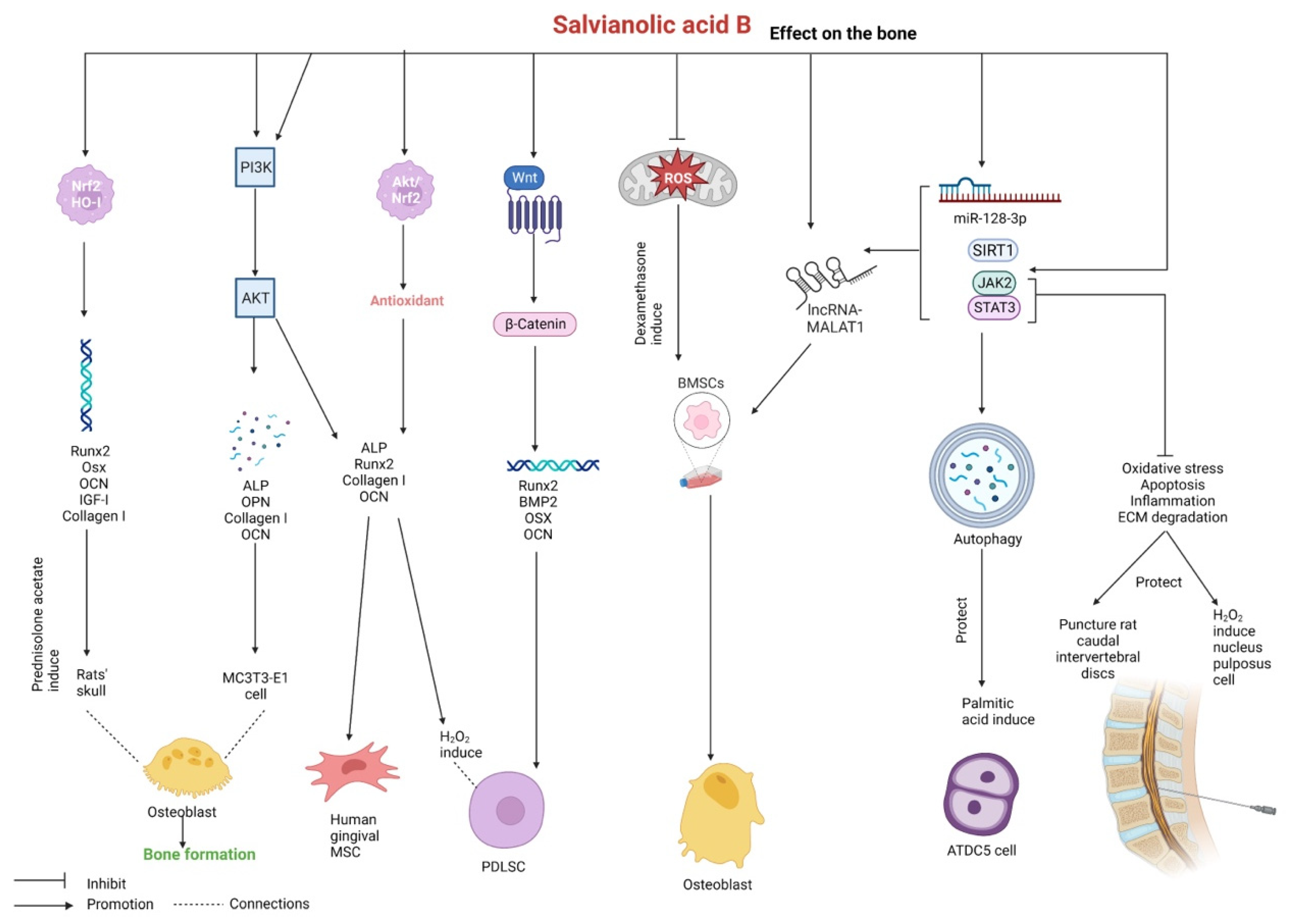 Pharmaceutics 15 02235 g009