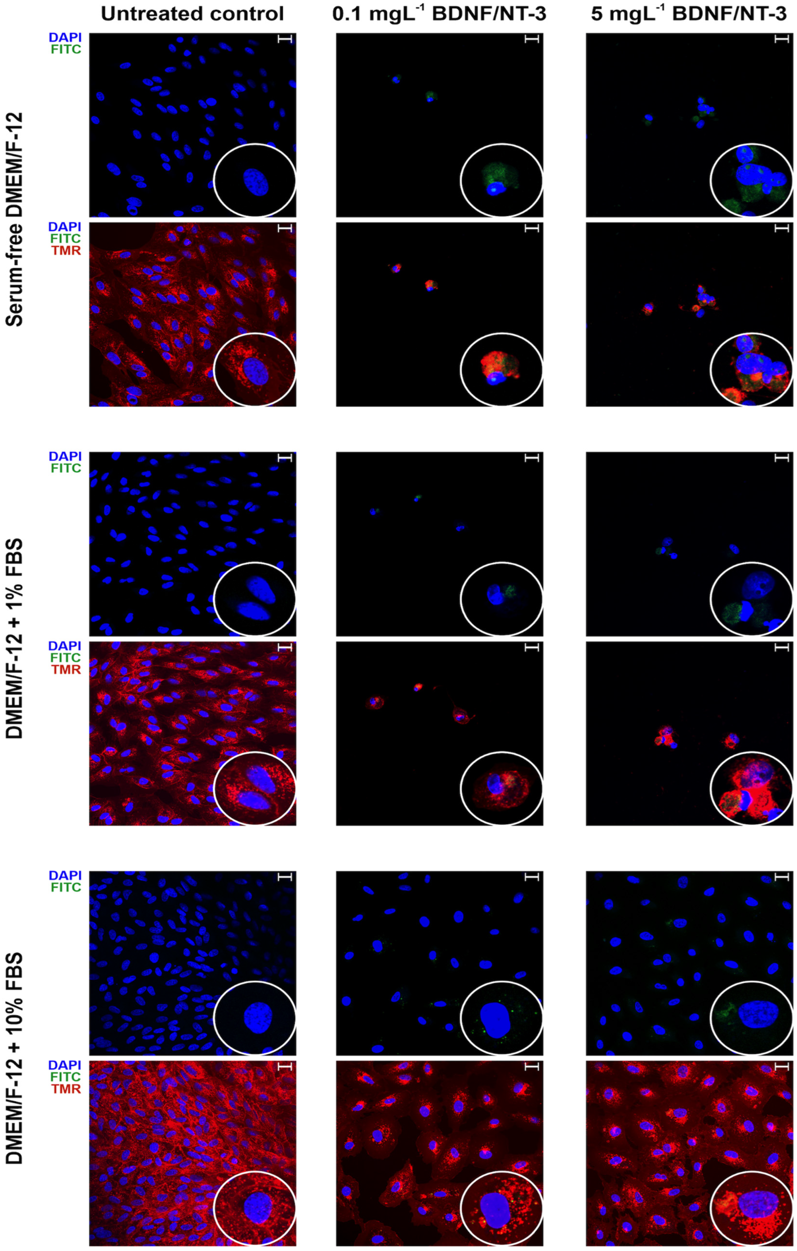 Pharmaceutics 15 02236 g009 Pharmaceutics 15 02236 g009