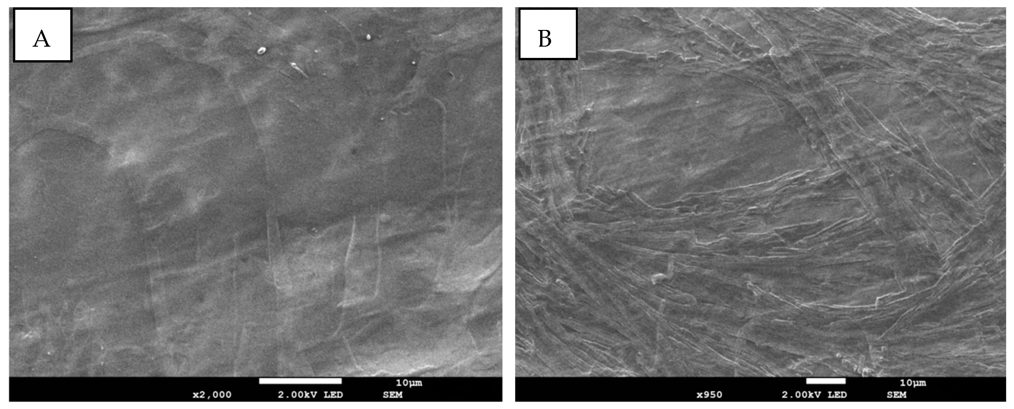 Pharmaceutics 15 02240 g005