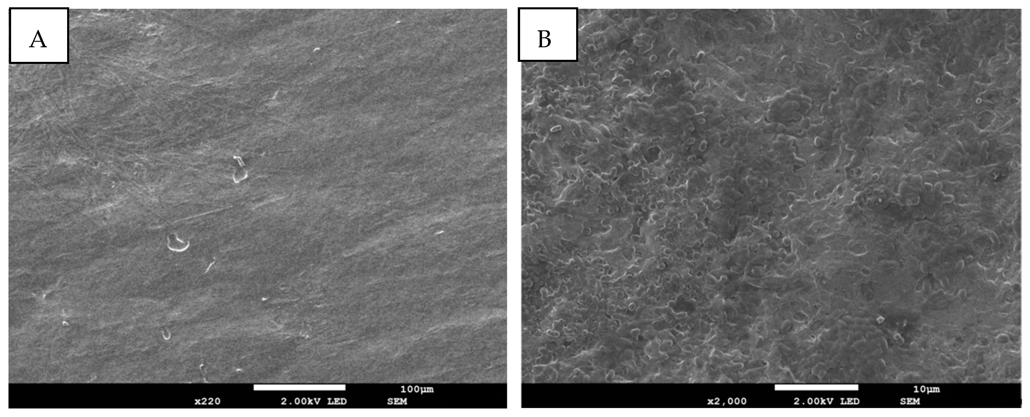 Pharmaceutics 15 02240 g006