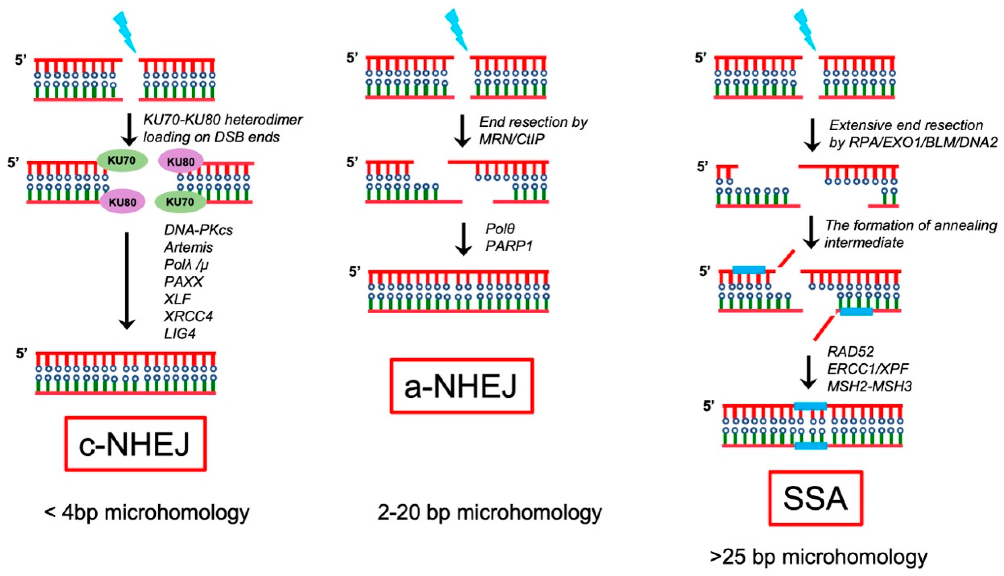 Pharmaceutics 15 02241 g003