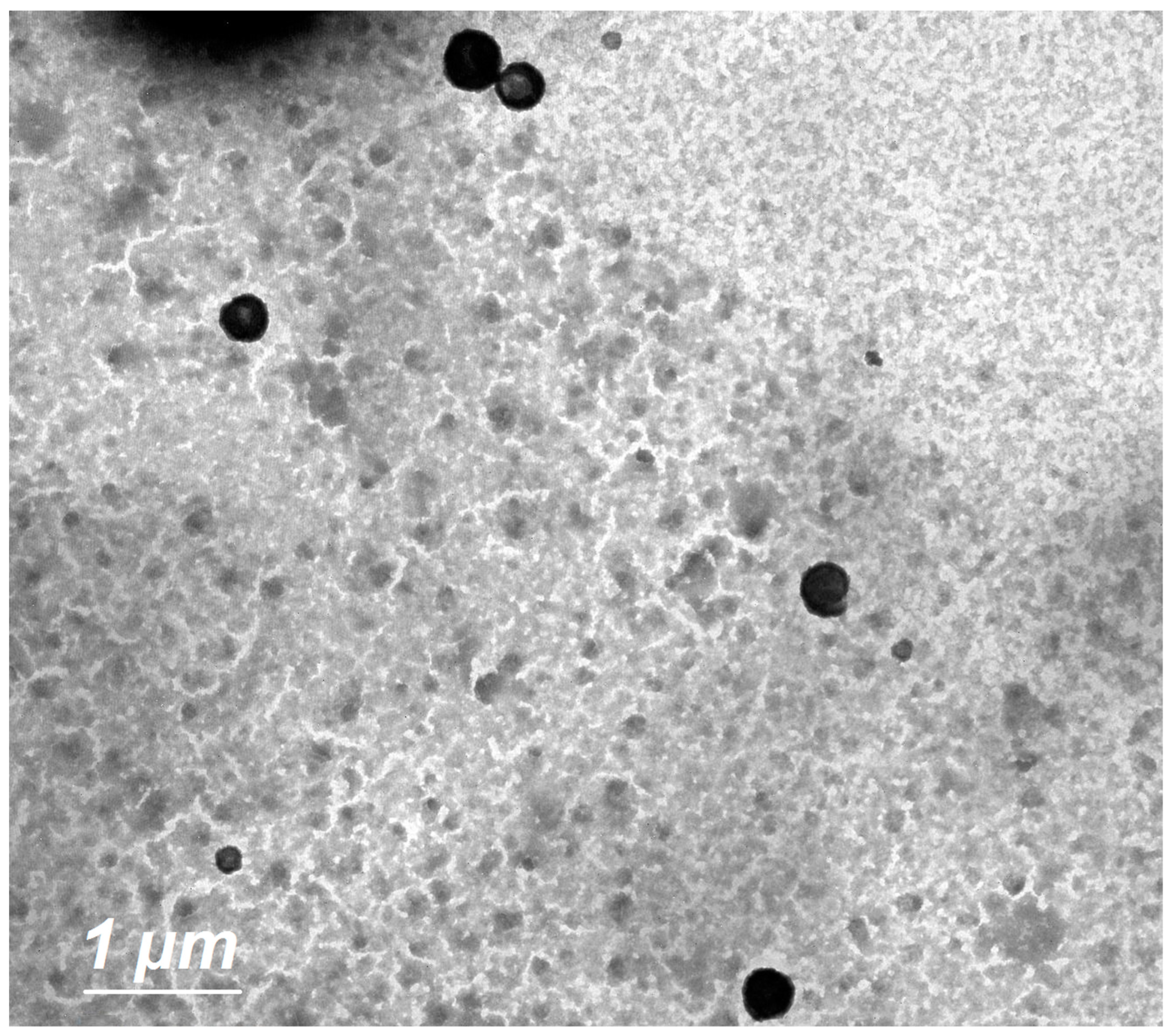 Pharmaceutics 15 02242 g003