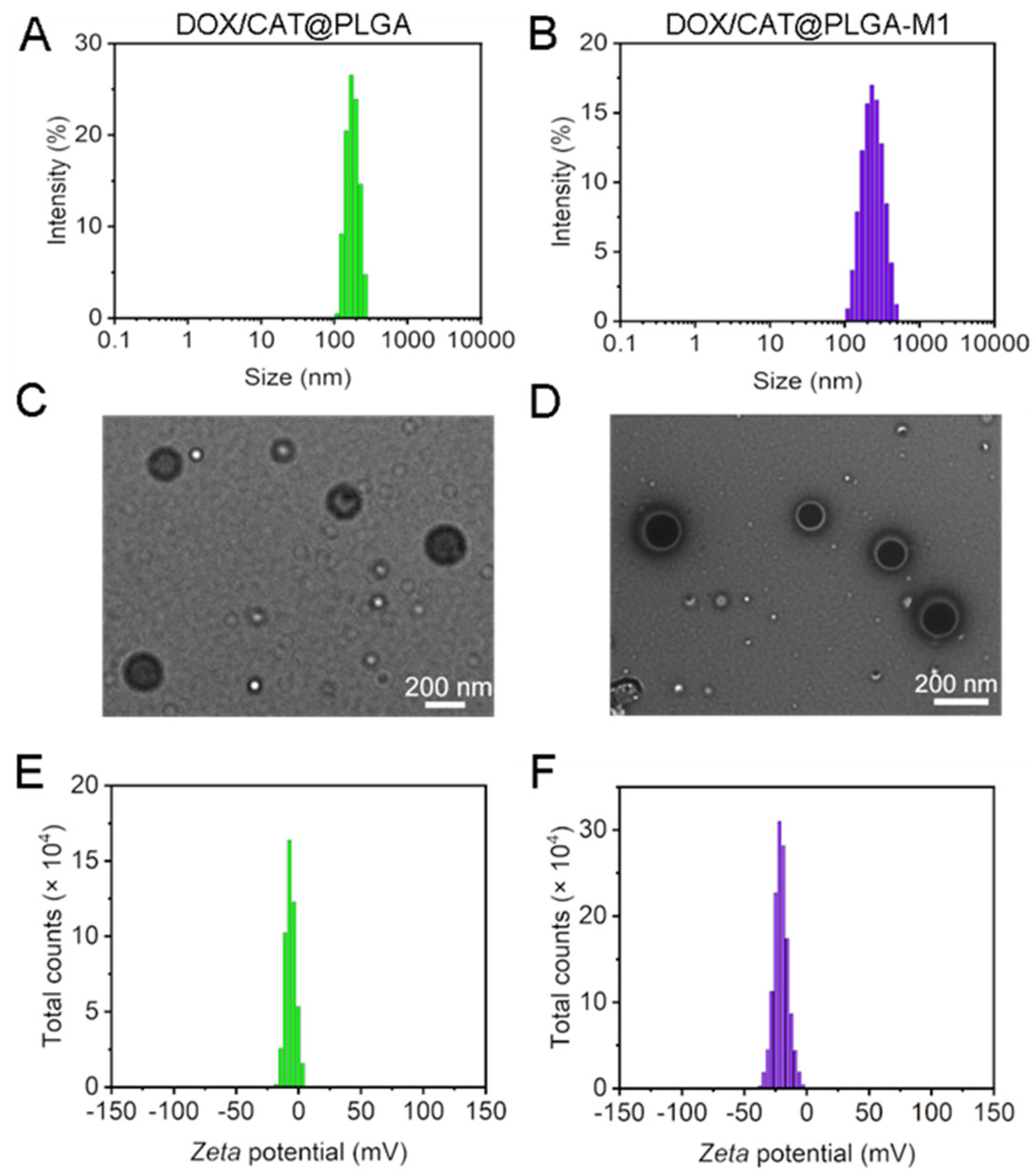 Pharmaceutics 15 02243 g003