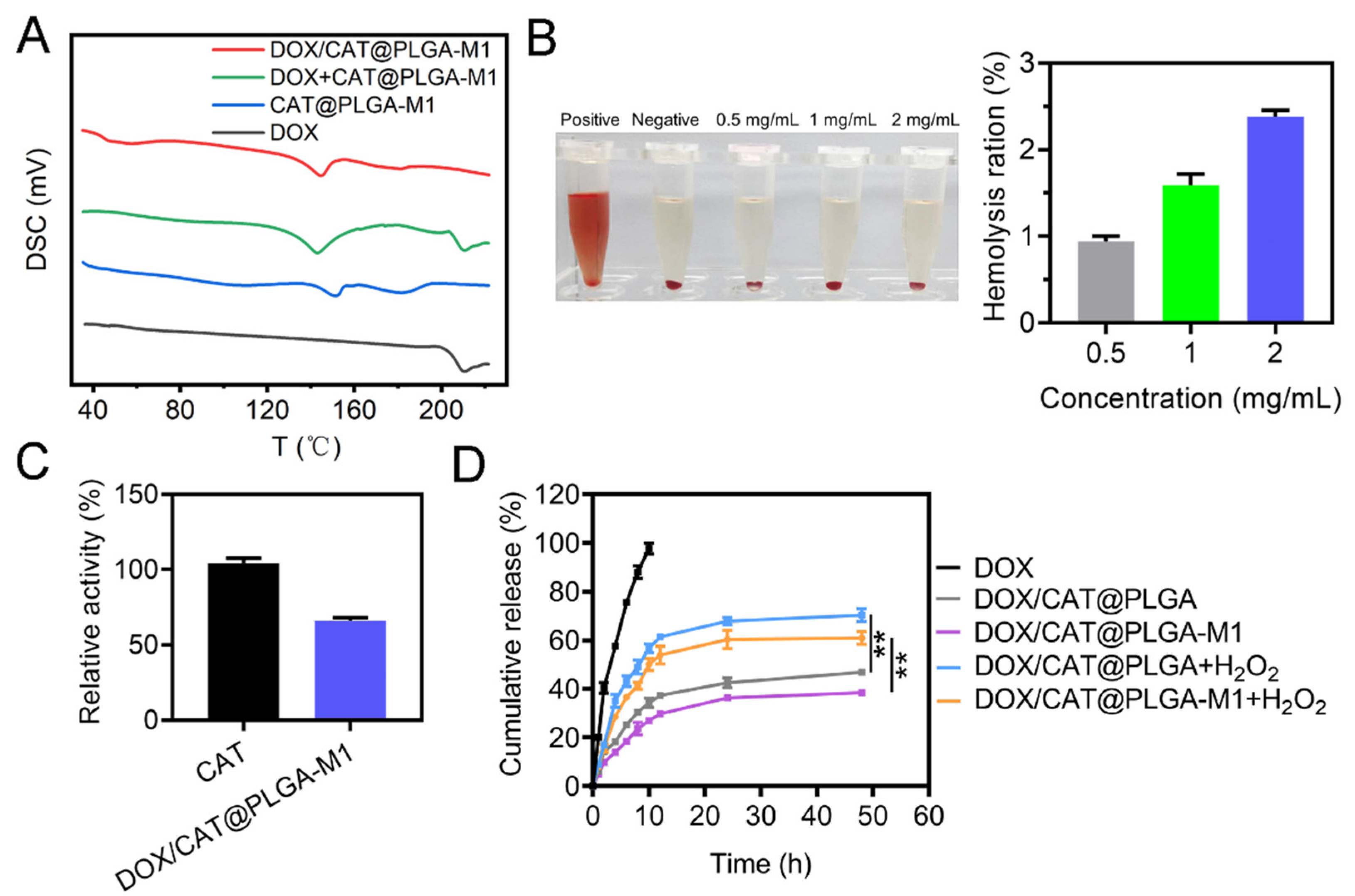Pharmaceutics 15 02243 g004