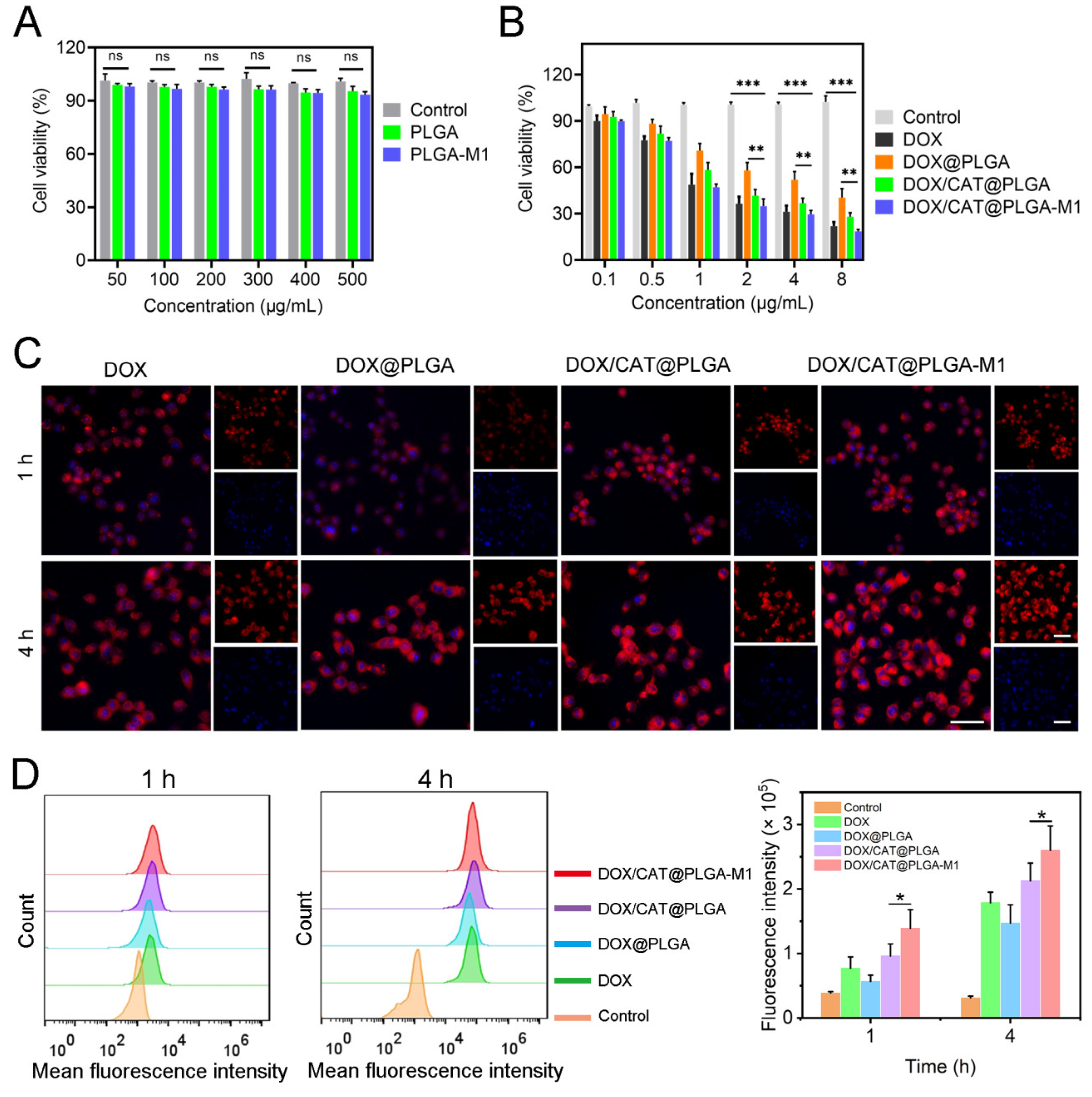 Pharmaceutics 15 02243 g005