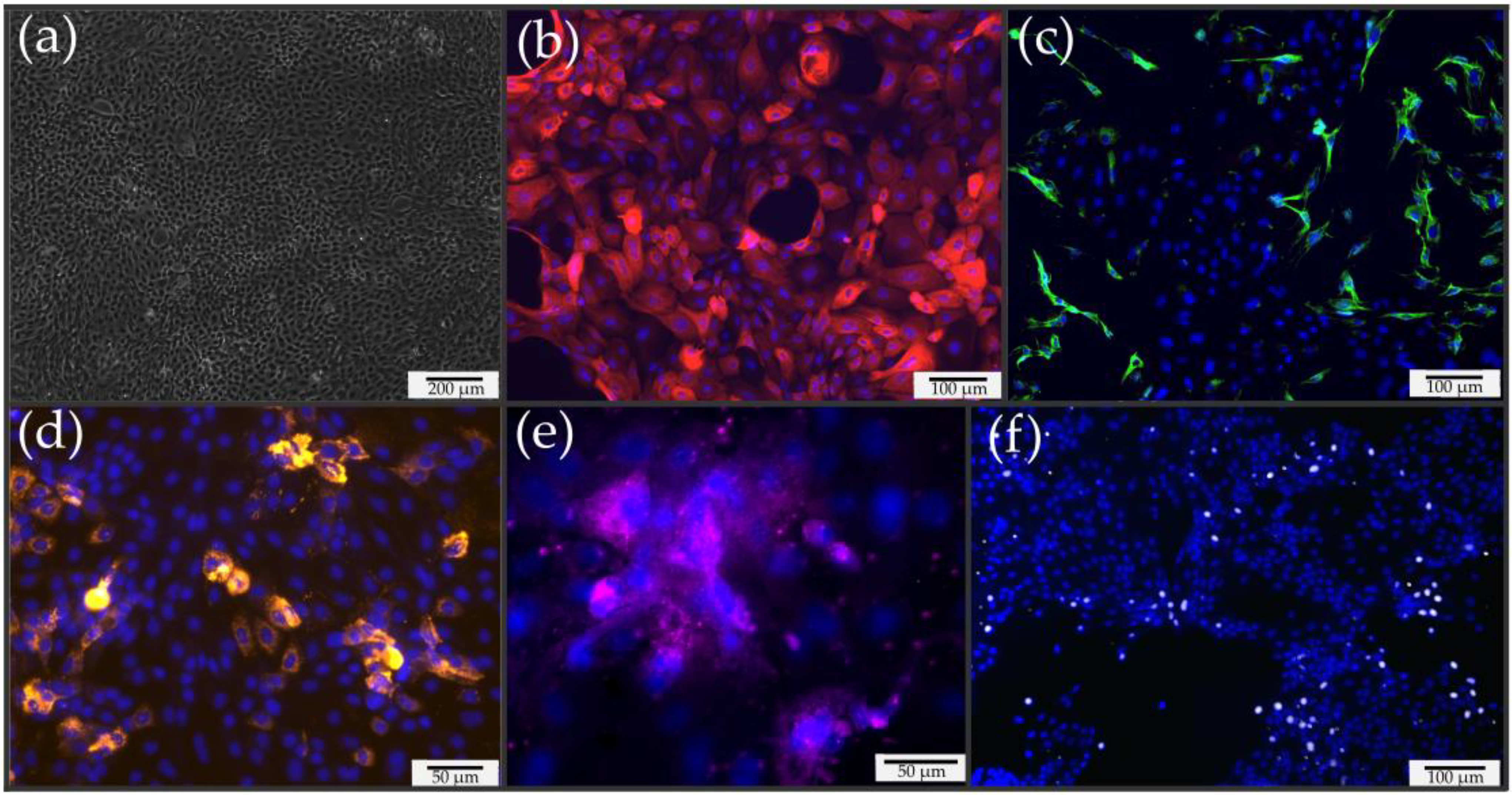 Pharmaceutics 15 02245 g001 Pharmaceutics 15 02245 g001