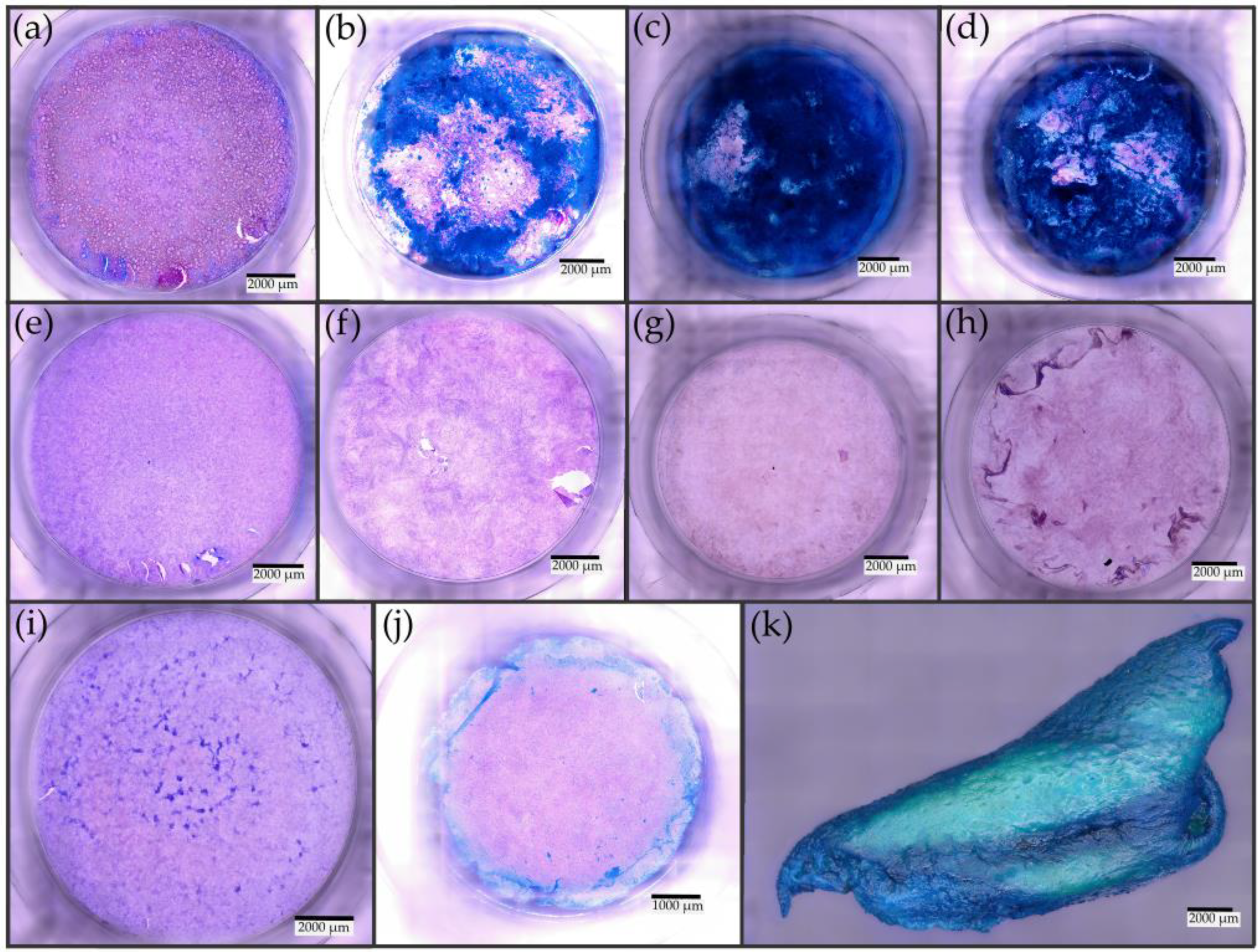 Pharmaceutics 15 02245 g004 Pharmaceutics 15 02245 g004