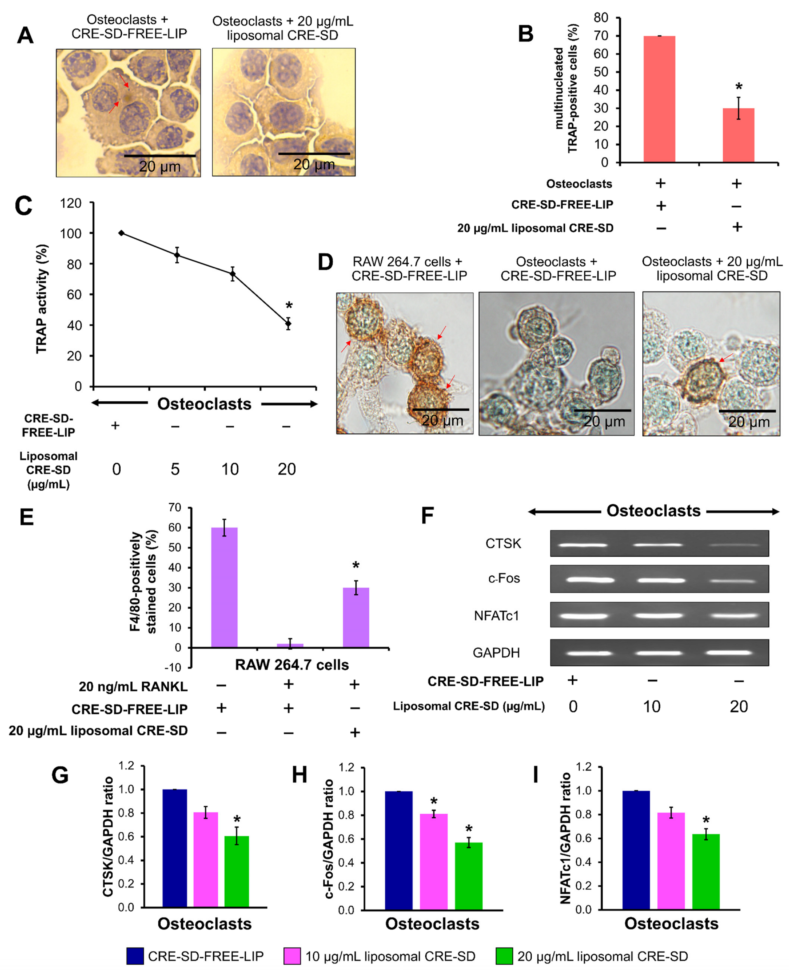 Pharmaceutics 15 02248 g005