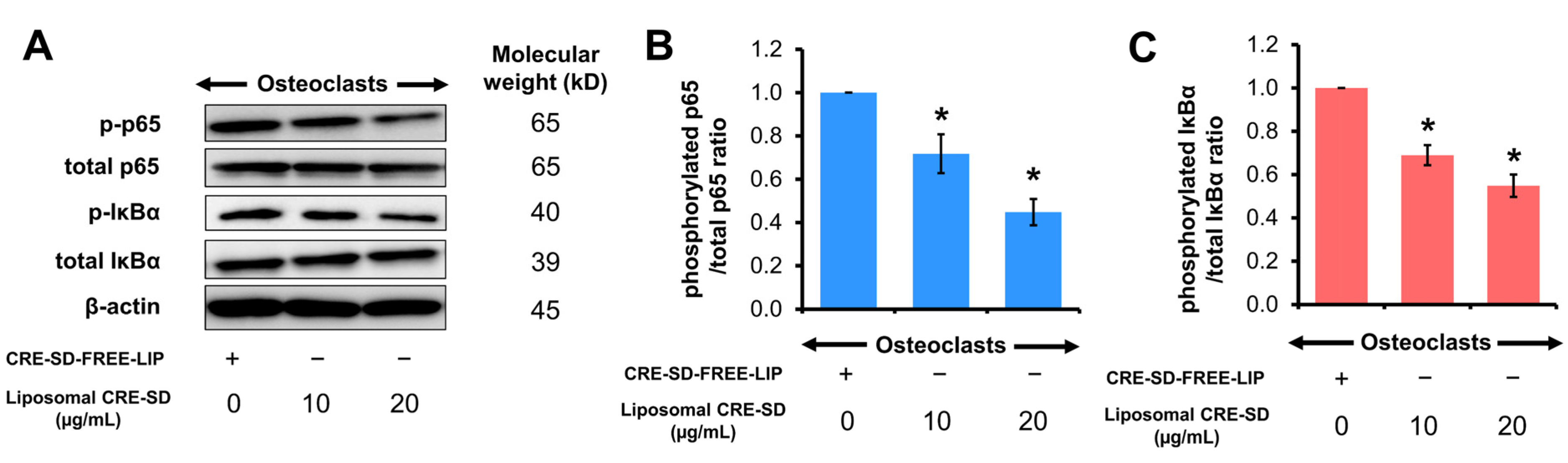 Pharmaceutics 15 02248 g006