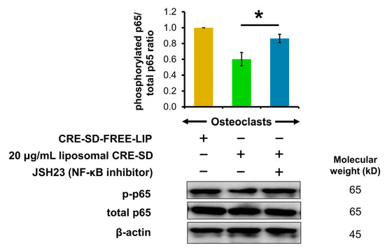 Modified Curcuminoid-Rich Extract Liposomal CRE-SDInhibits Modified Curcuminoid-Rich Extract Liposomal CRE-SDInhibits