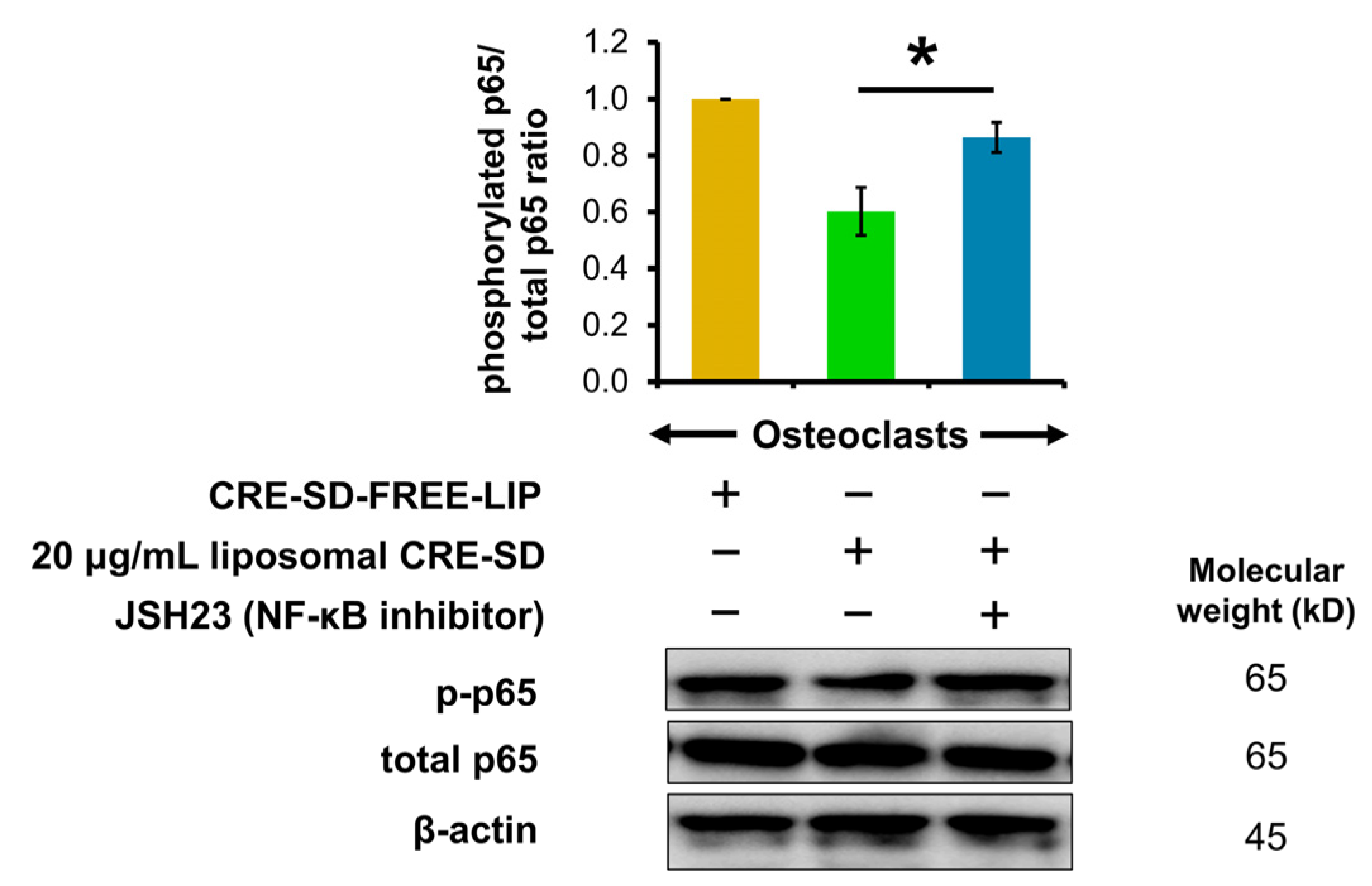 Pharmaceutics 15 02248 g007